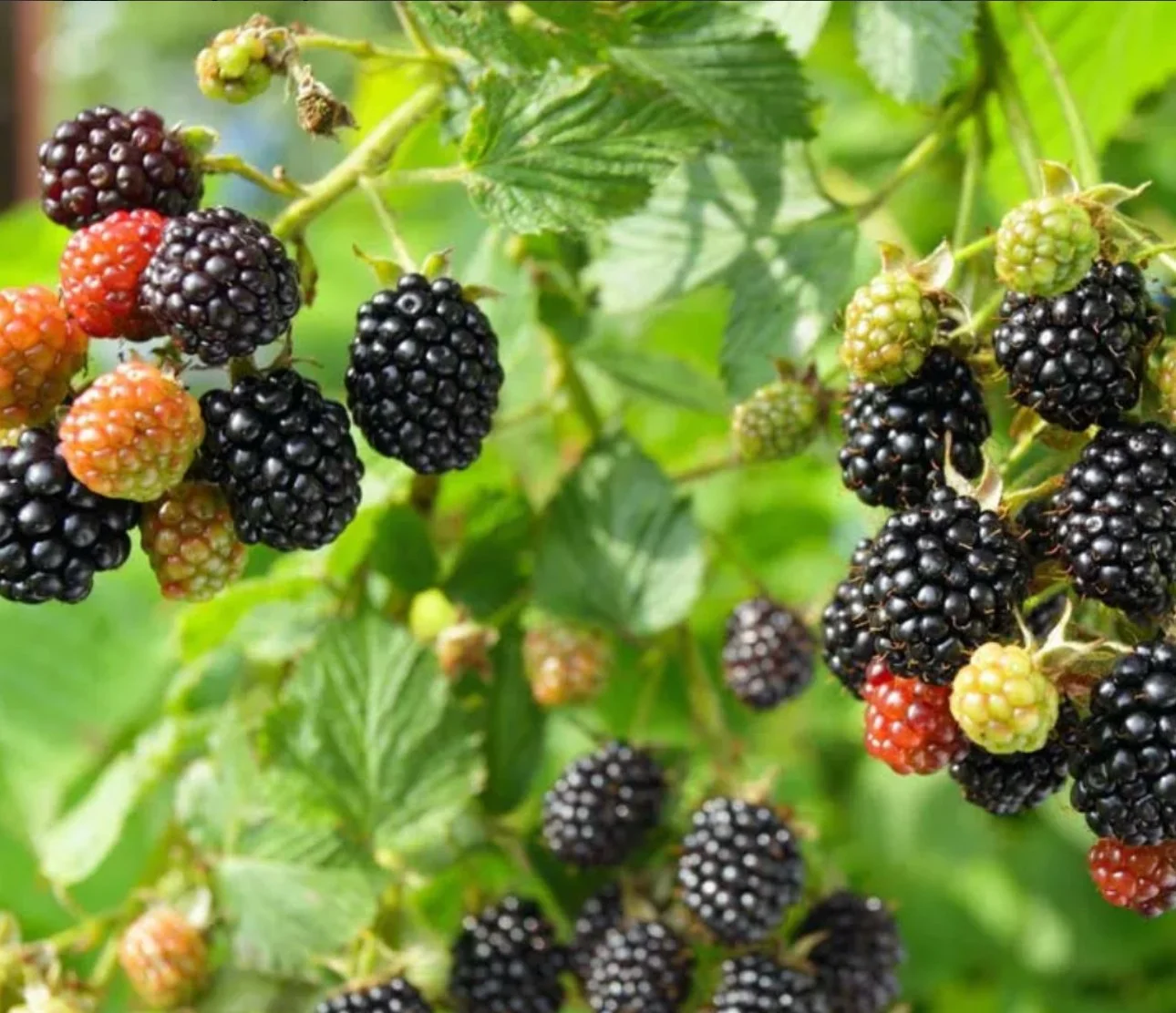 A Little Bit Witchy : Autumn Equinox