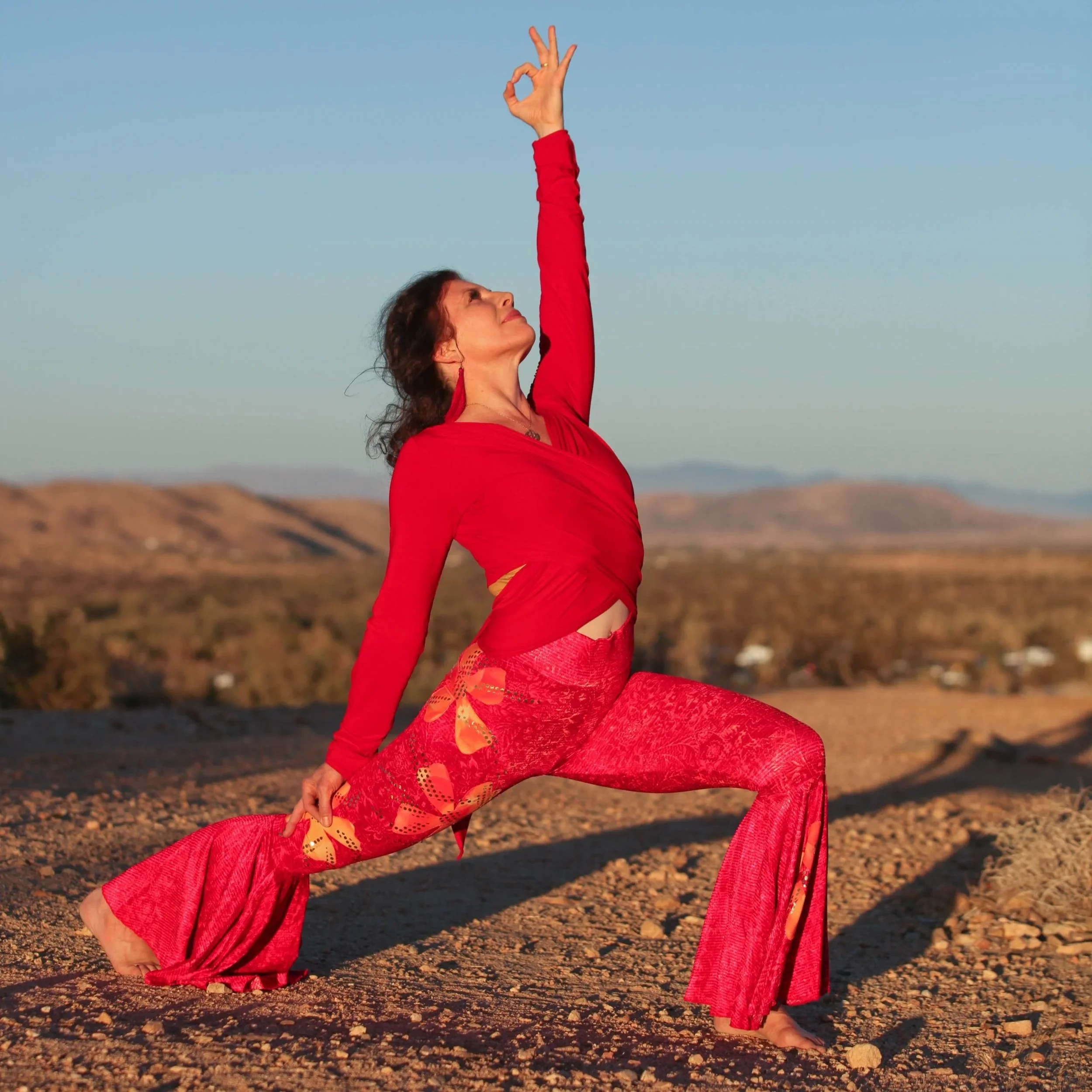 Sianna Sherman 8-8 Lion’s Gate Activation! Supercharger Fire &amp; Nectar for Manifestation and Creativity: WHOLE DAY IMMERSION + KIRTAN!