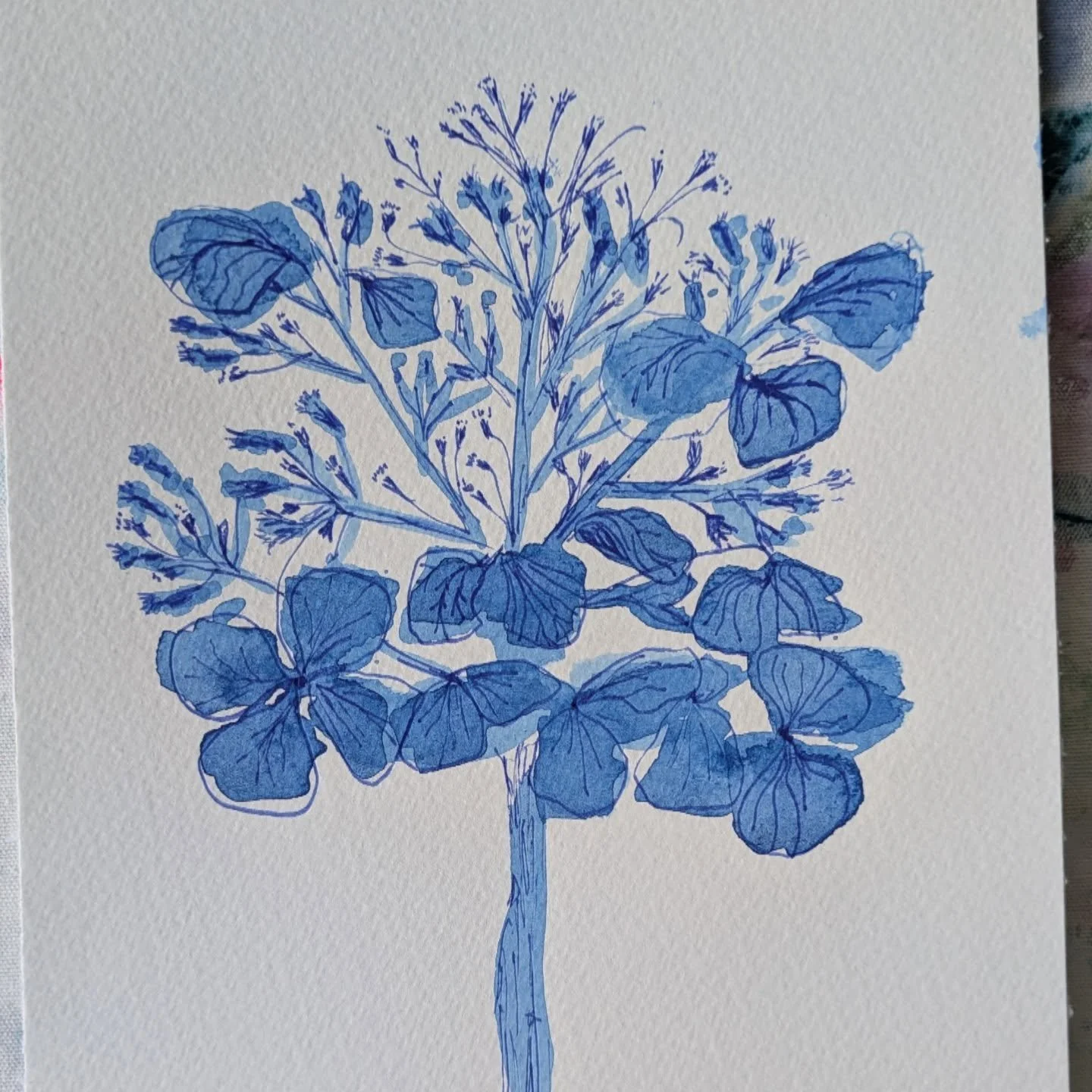Day 2 - Making bad art. I'm not going to lie, it was a struggle to think of where to start today, so after a few other weird drawings, I went back to hydrangea. I blocked out the main shapes with a brush and went in there with a blue pen afterwards. 