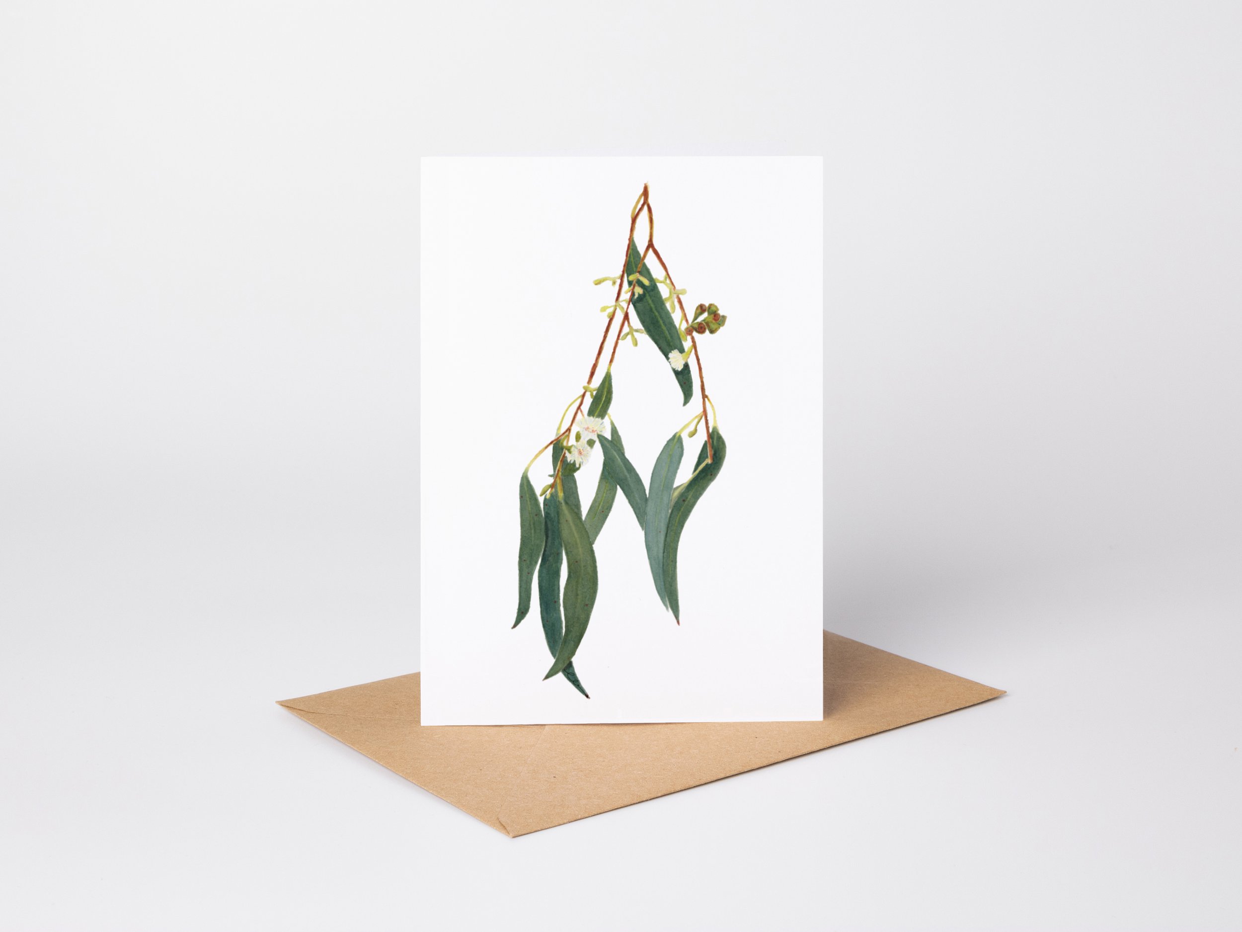 A6Portrait_SnowGum.jpg