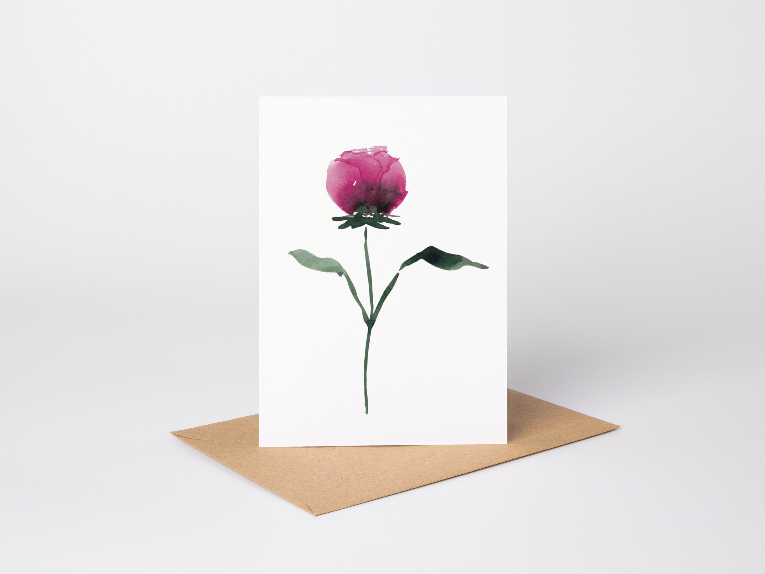 Blooming Peony