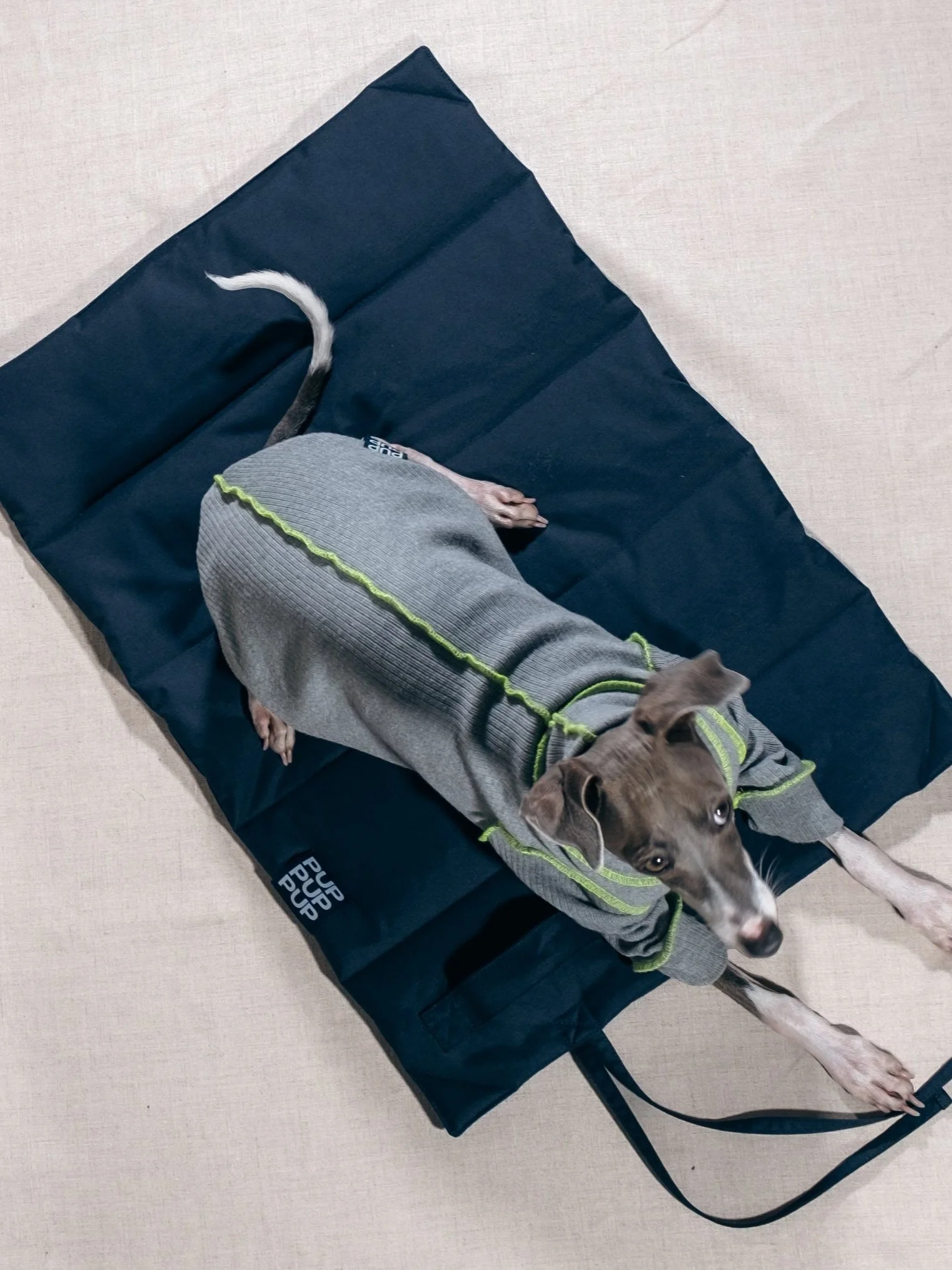 Folded travel mat for dogs - small italian greyhound poodle cavoodle chihuahua