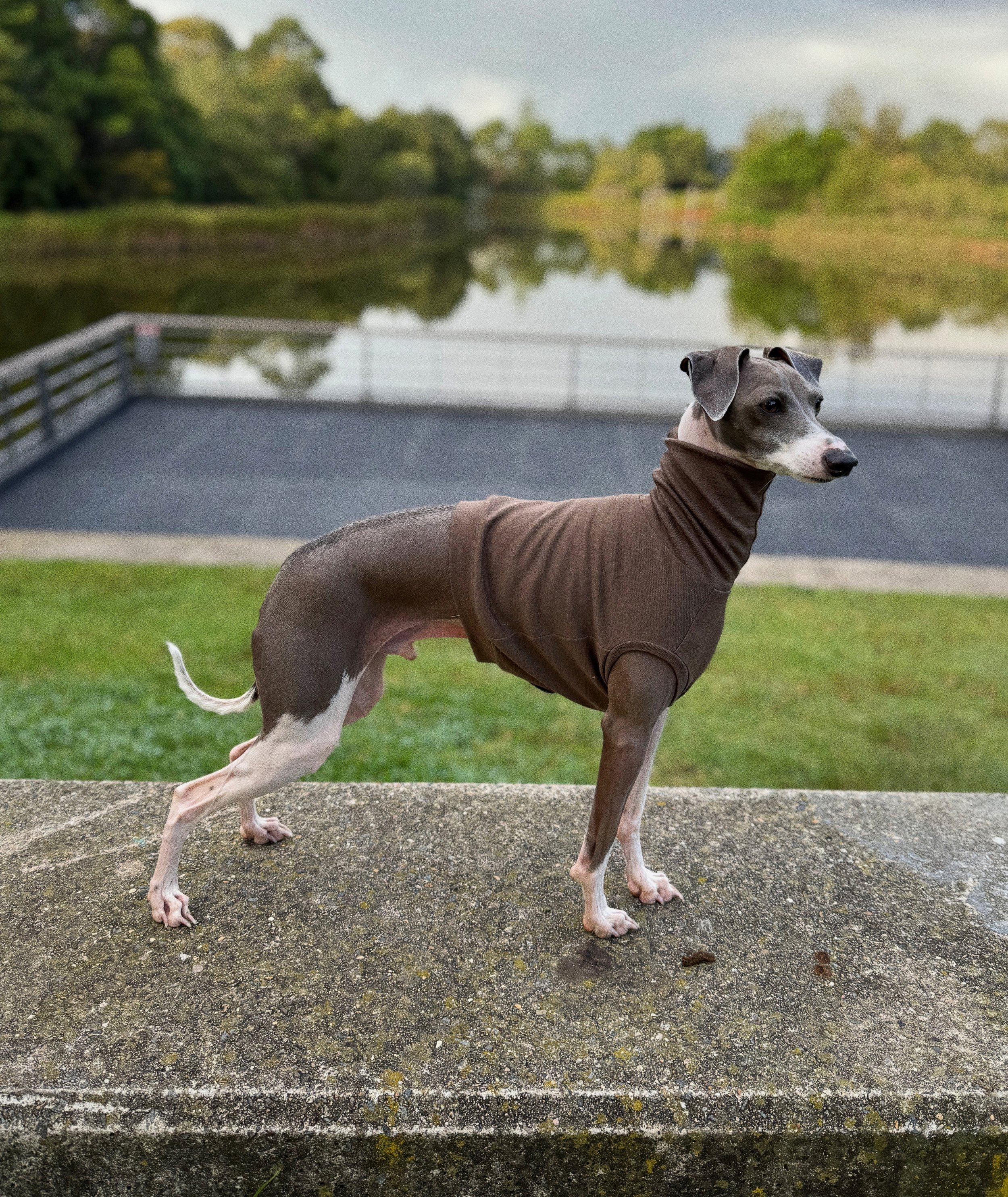 Limited Edition Merino Tank - Cocoa