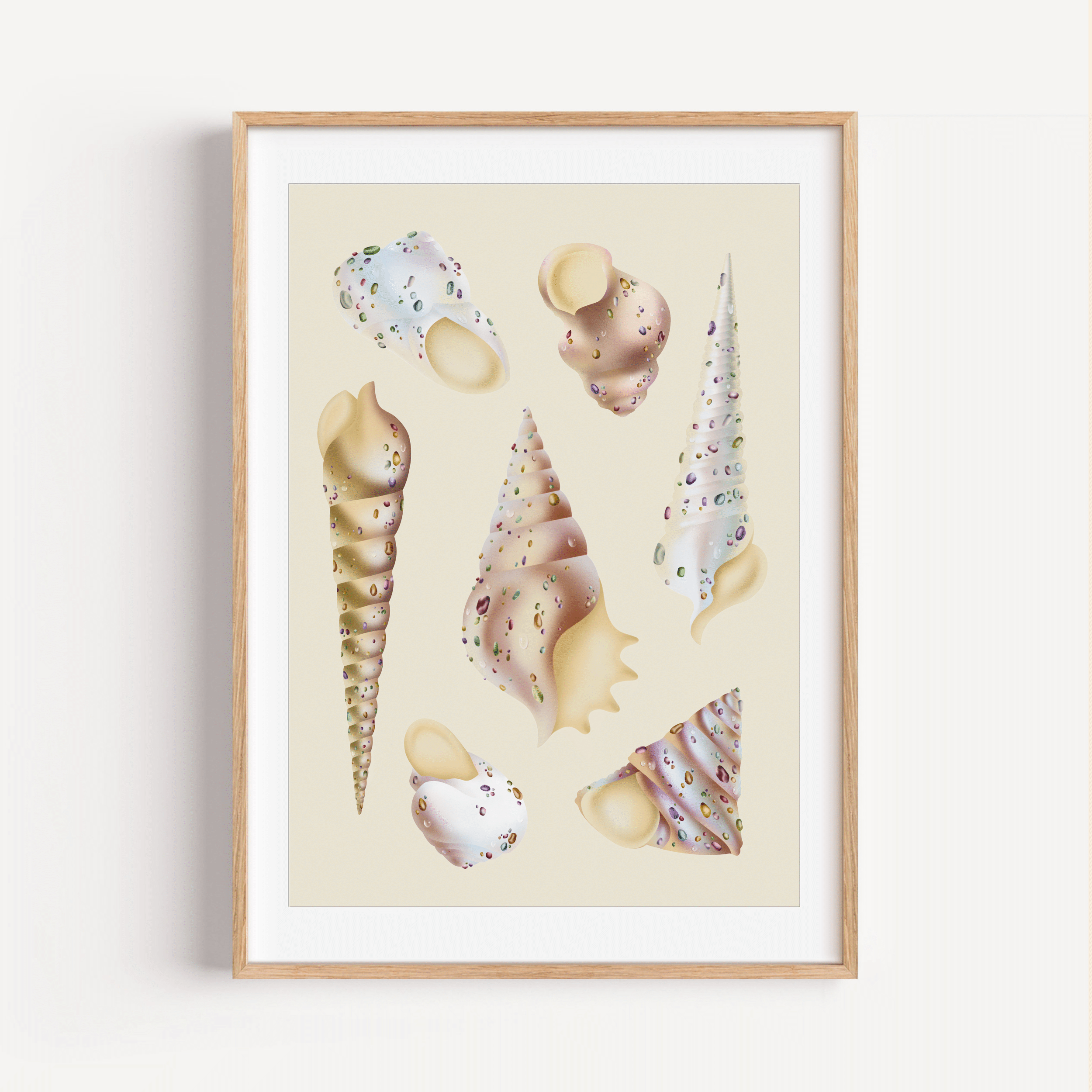 Planche coquillages n°2 — Édition fine art