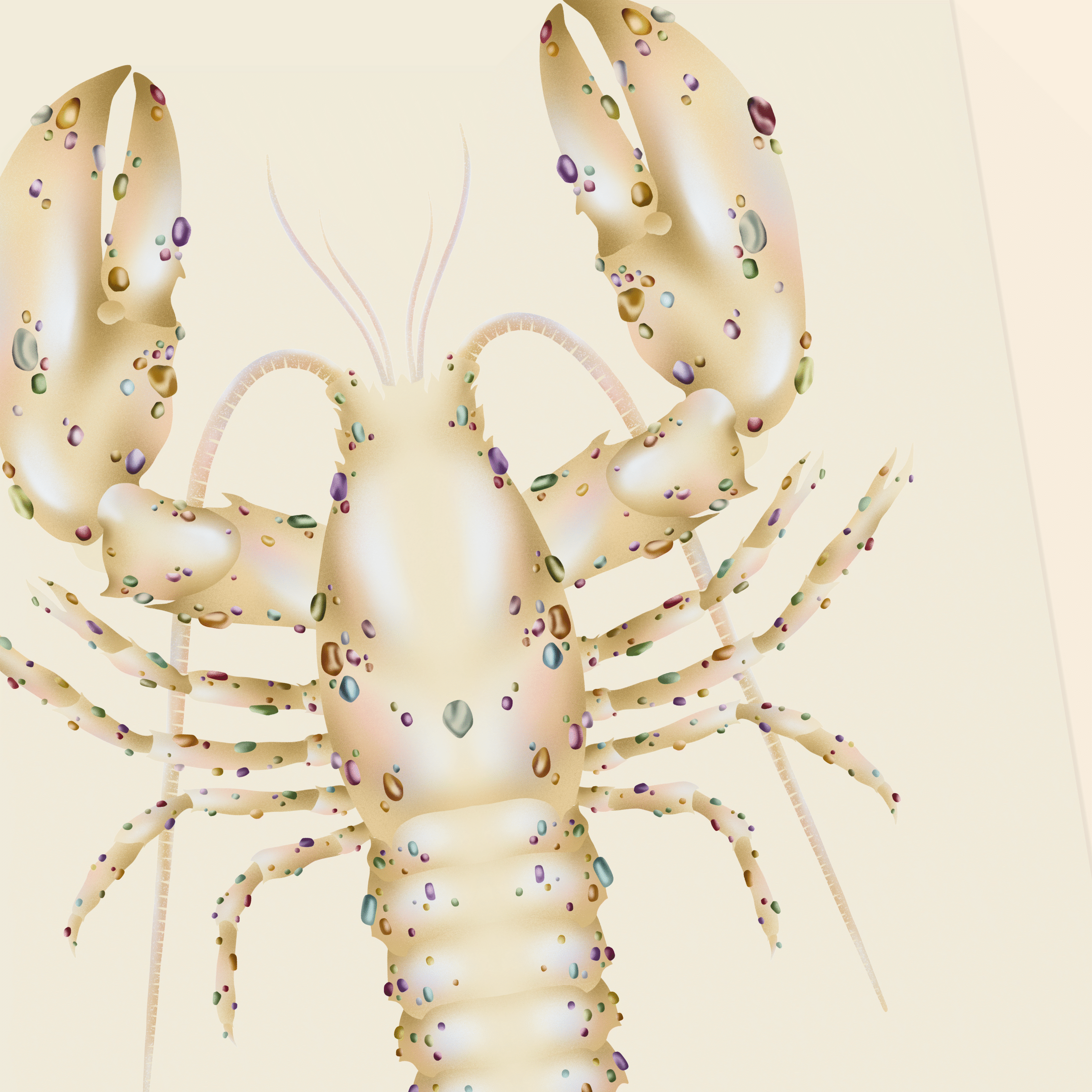 Affiche_the-jewelled-lobster-03.png