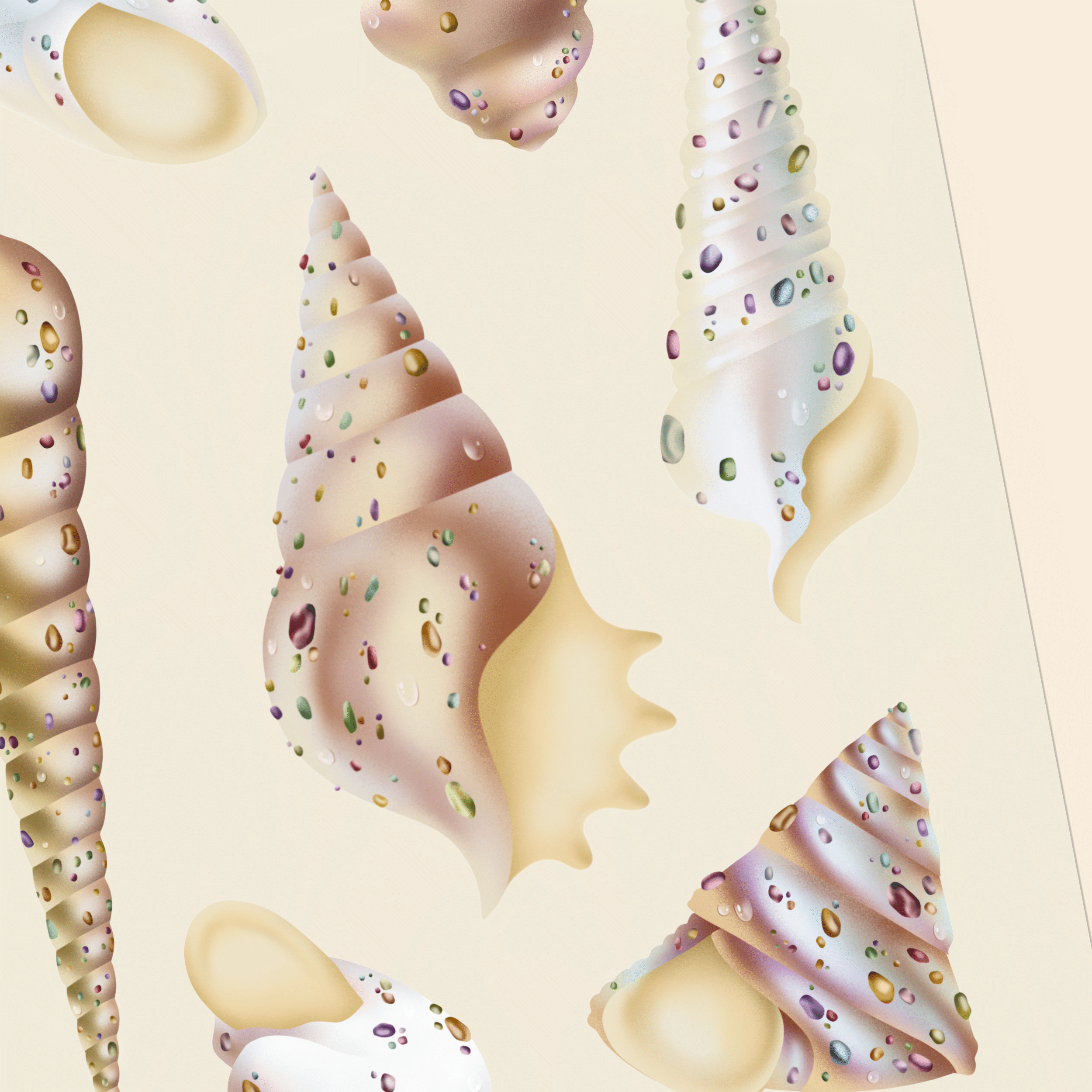 Affiche_planche-coquillages-nacre-03.png