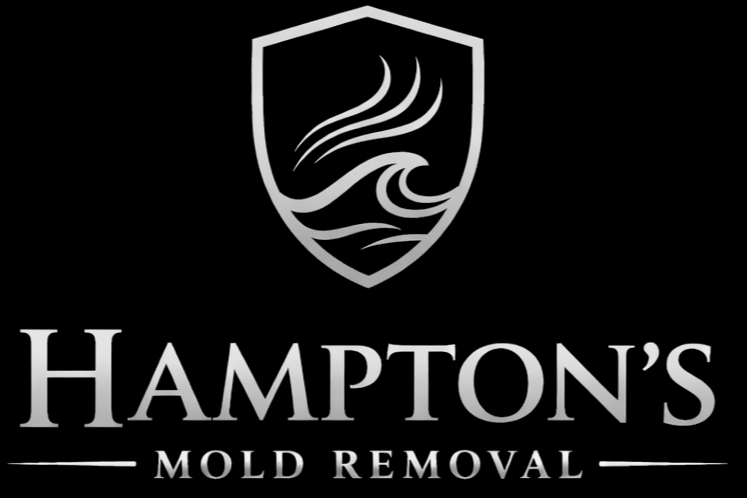 Hamptons Mold Removal