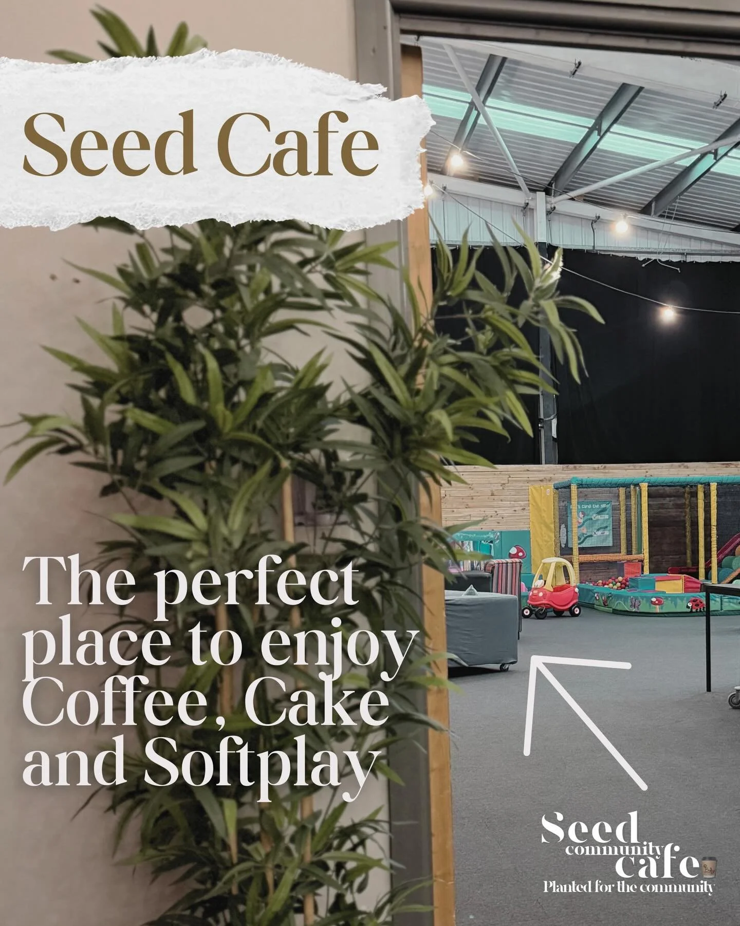 Seed Cafe open this morning from 9am