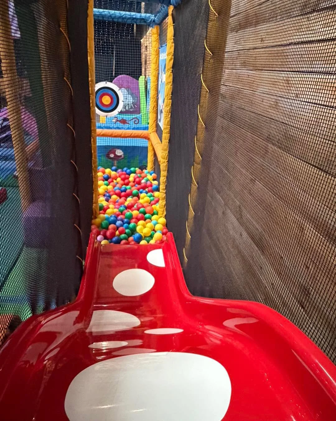 Nearly that time of the week again!

Who&rsquo;s ready to slide into a new week?

Seed open tomorrow 9am - 12:30pm