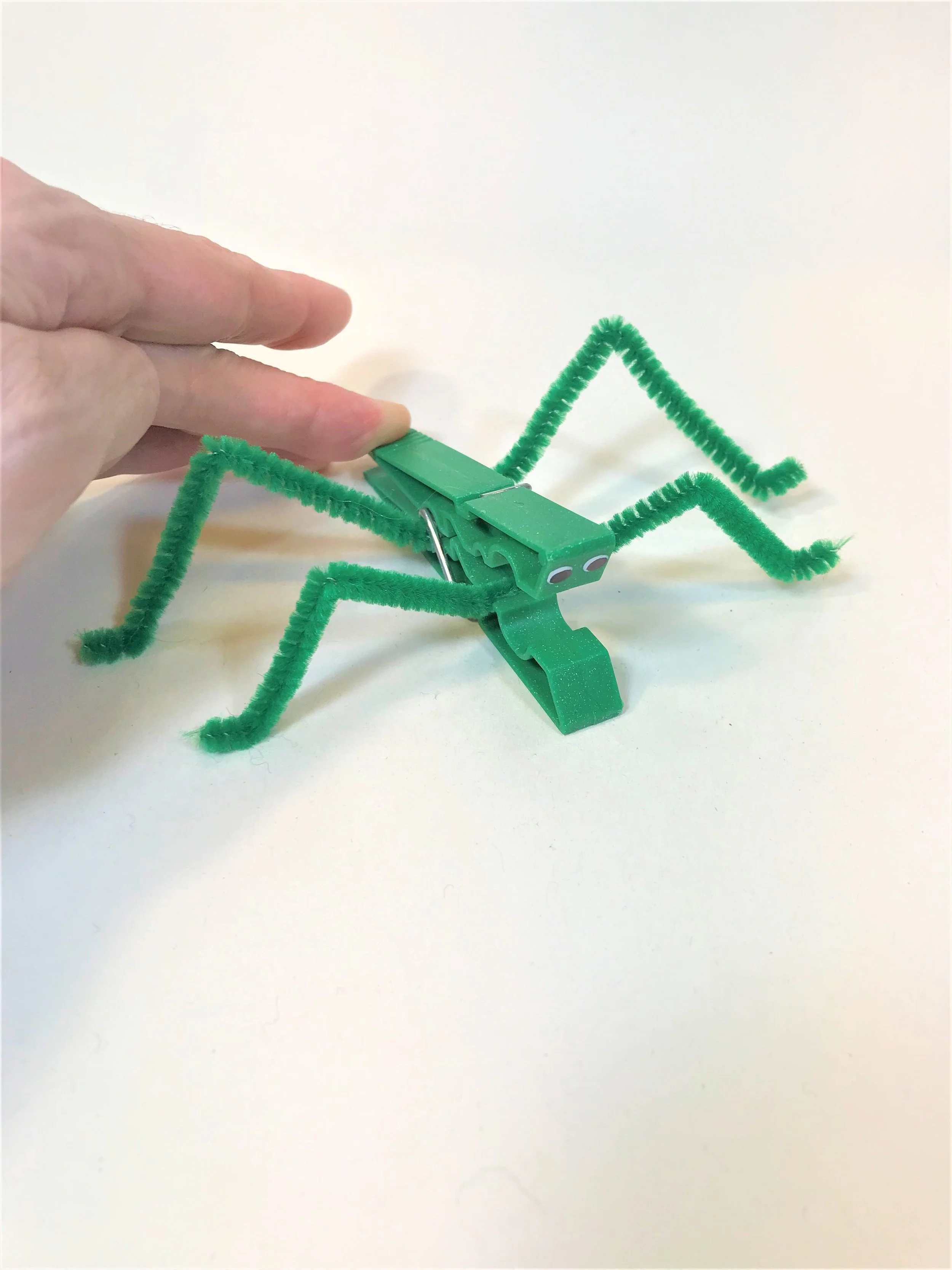 Shop_FriendlyCaterpillar_Grasshopper jump.jpg