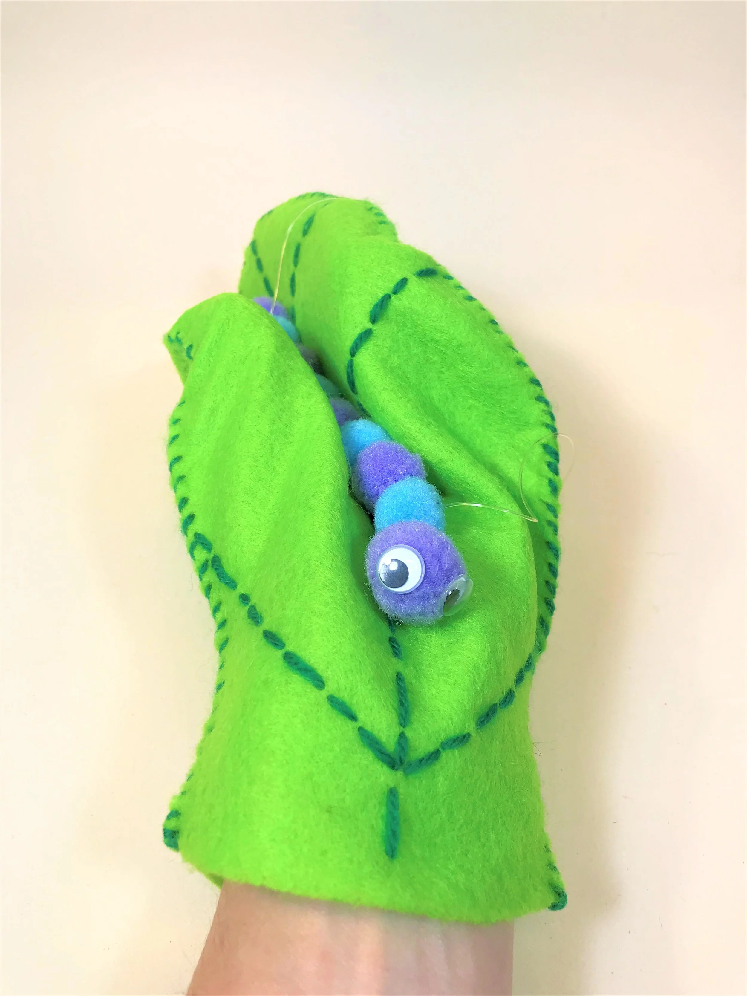 Shop _Friendly Cat_Caterpillar and Cocoon.jpg
