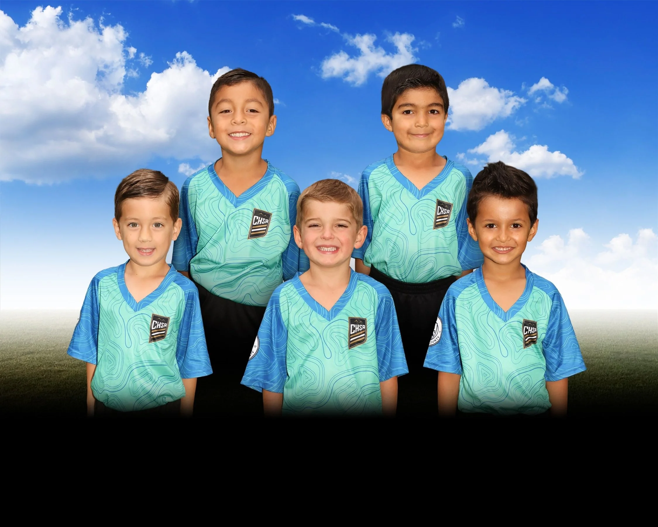 BU6 Hammerhead Sharks
