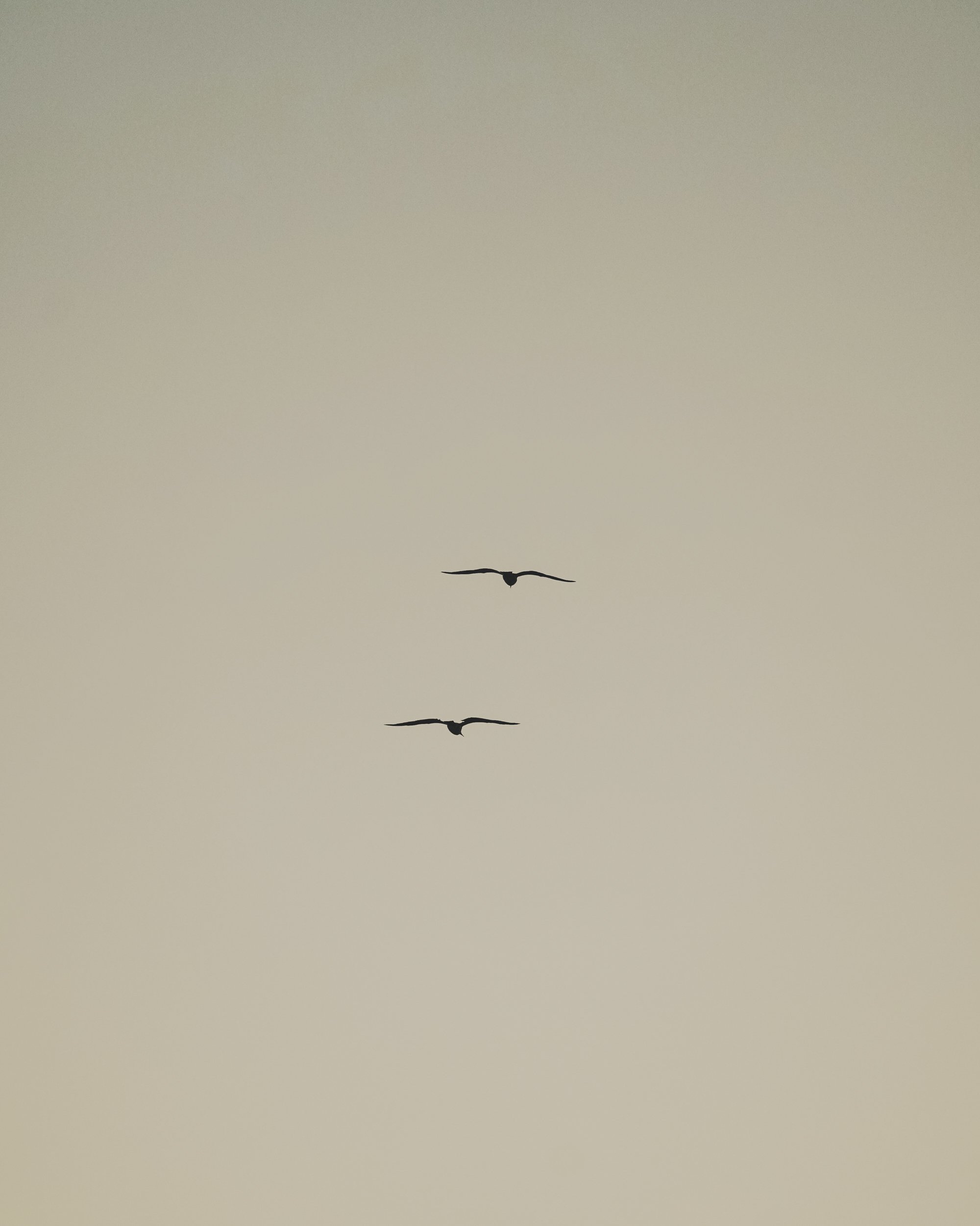 DSC06161-2.jpg