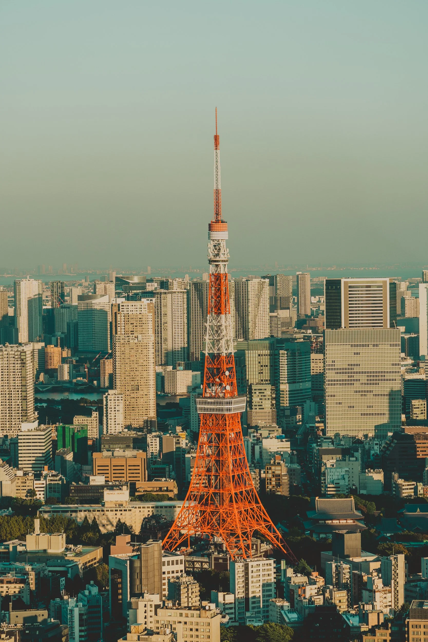 tokyoo-1-3.jpg