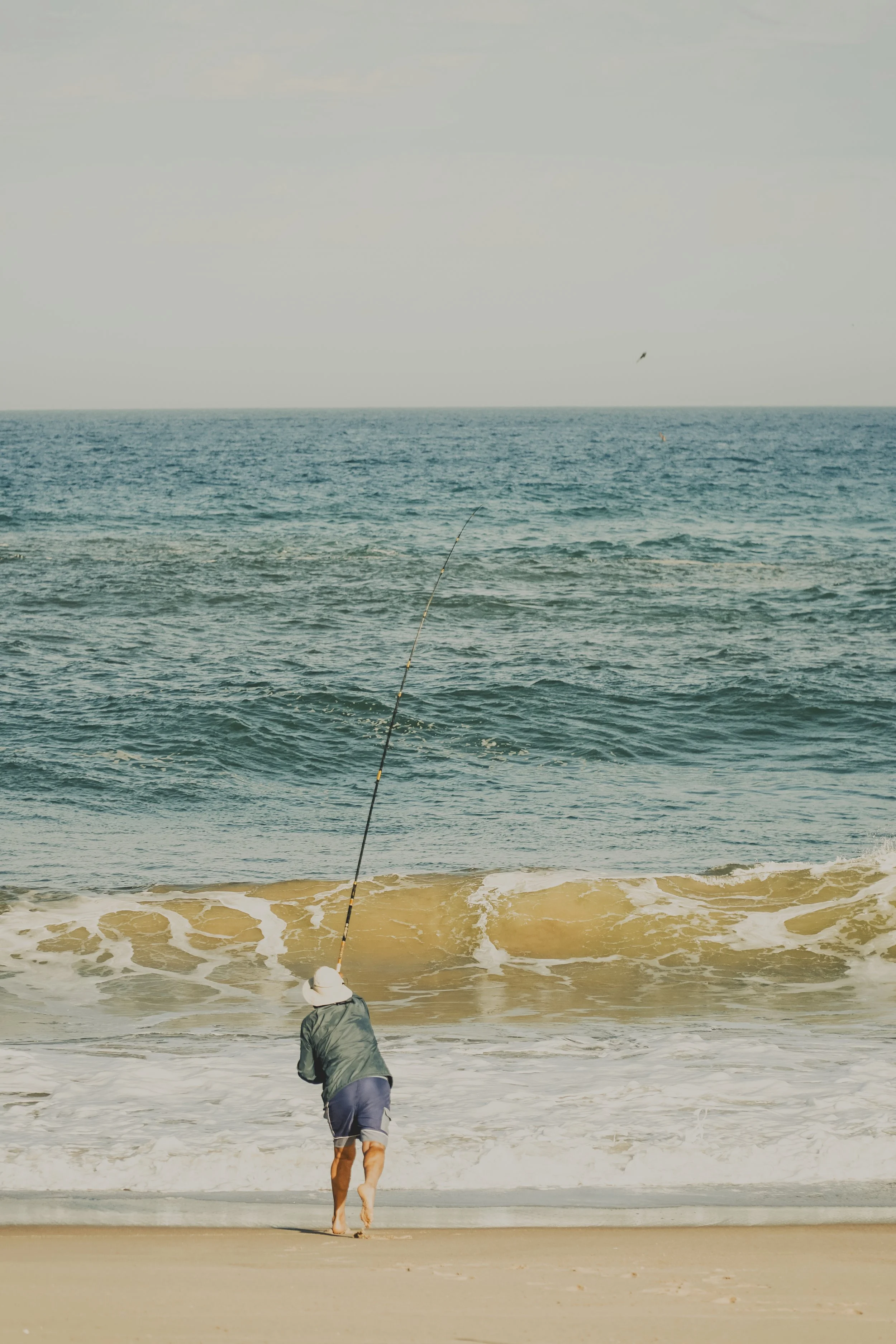 DSC05536.jpg