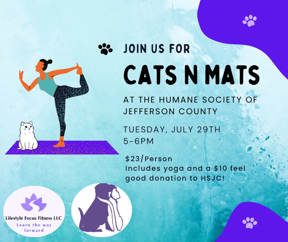 Cats N Mats Yoga at HSJC