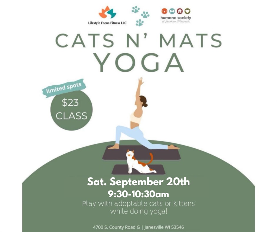 Cats N Mats Yoga at HSSW