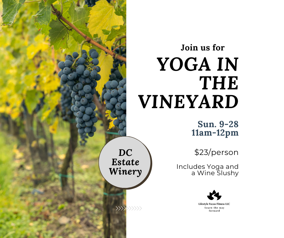 Yoga in the Vineyard