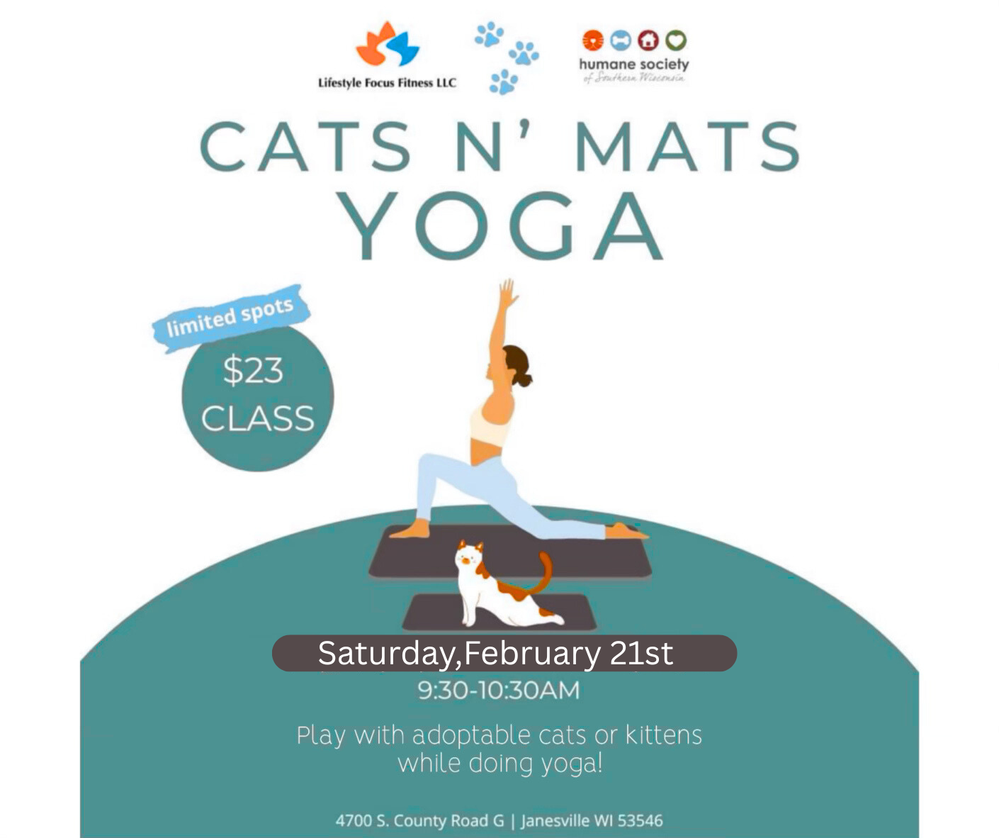 Cats N Mats Yoga - HSSW