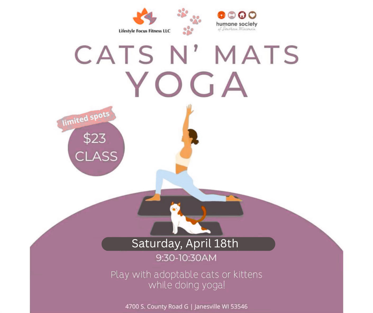 Cats N Mats Yoga - HSSW