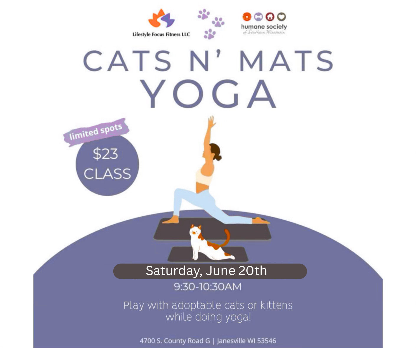 Cats n Mats HSSW June.png (Copy)