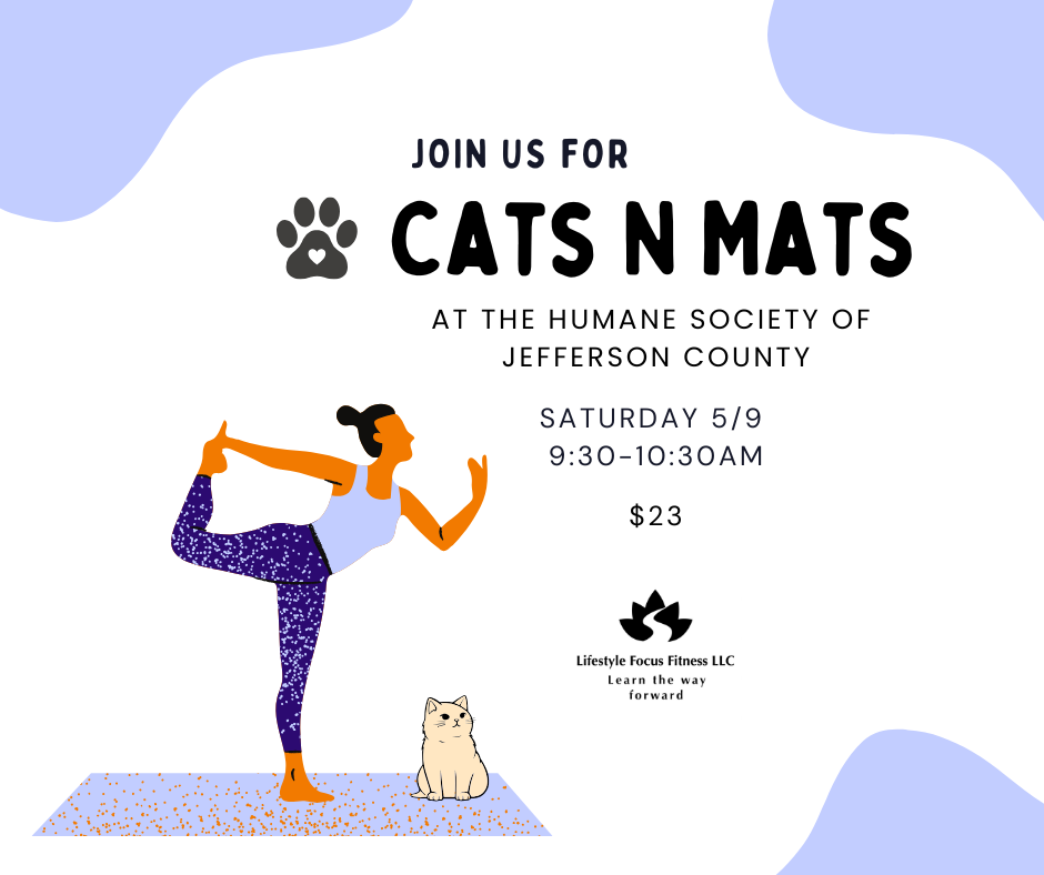 Cats N Mats Yoga - HSJC