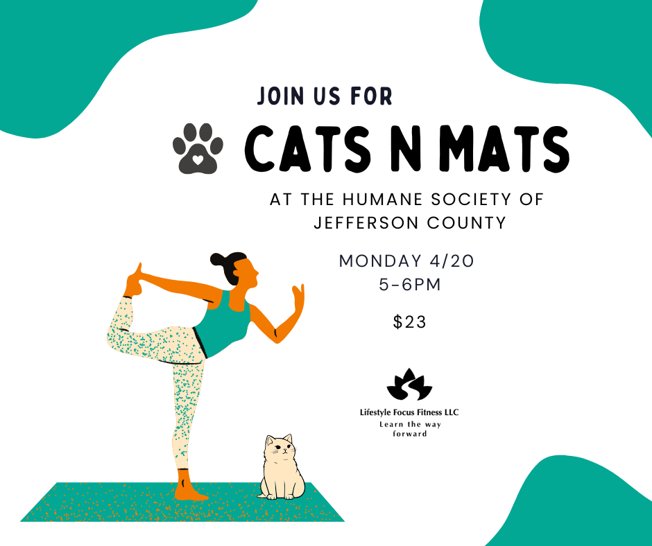 Cats N Mats HSJC April.png