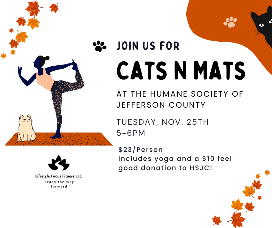 Cats N Mats HSJC Nov.png