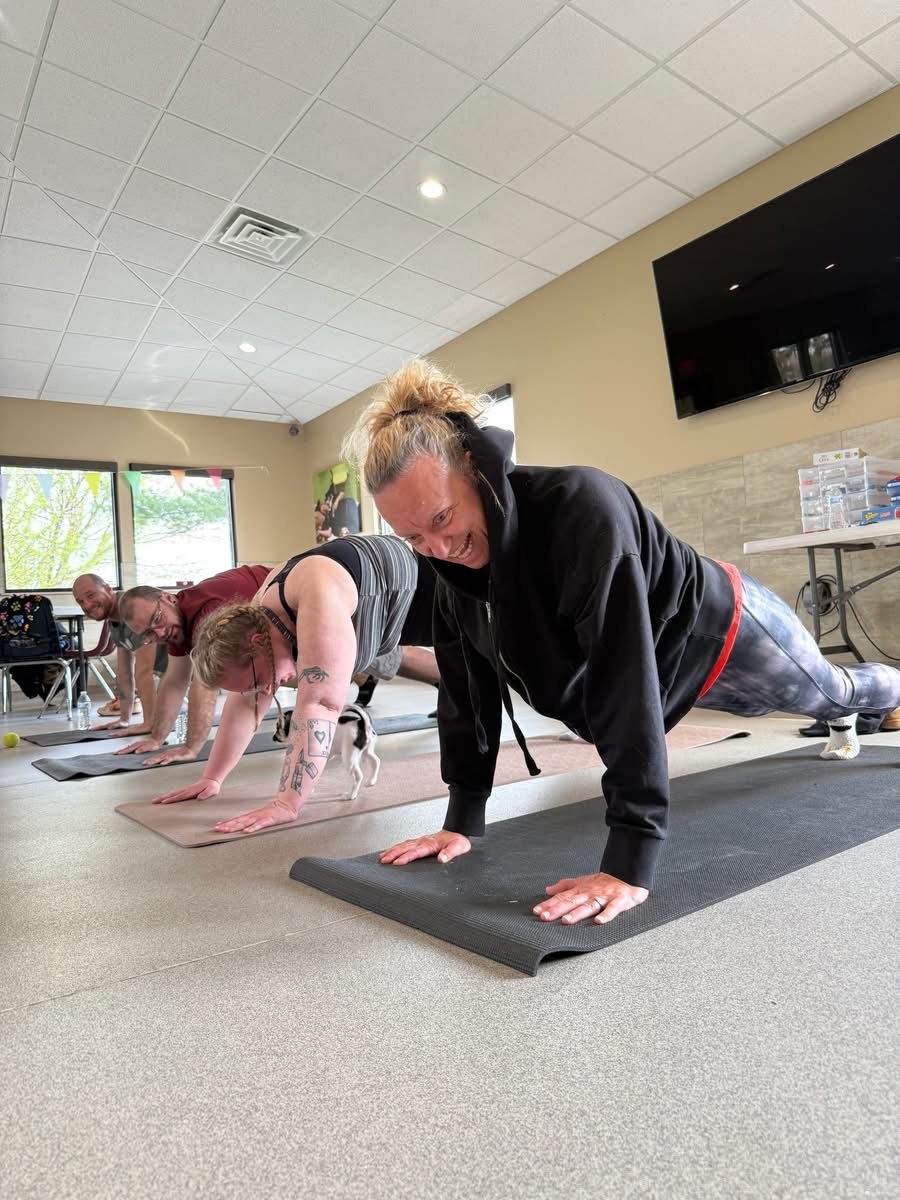People participating in a yoga class on mats inside a room, doing push-up poses.
