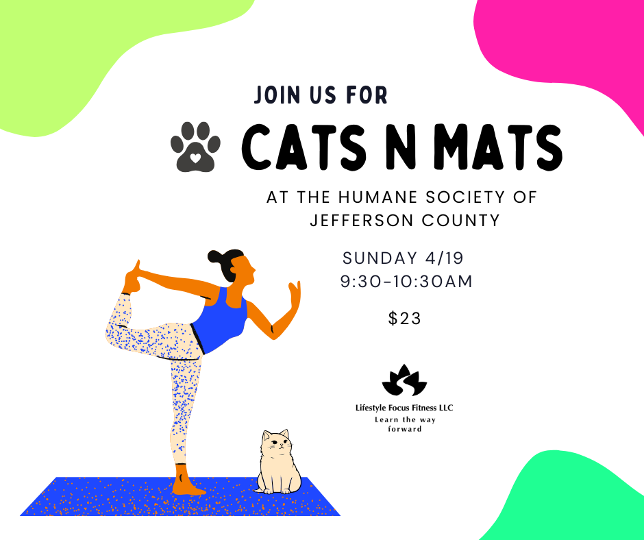 Cats N Mats 4-19.png