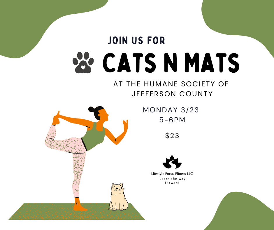 Cats N Mats HSJC March.png