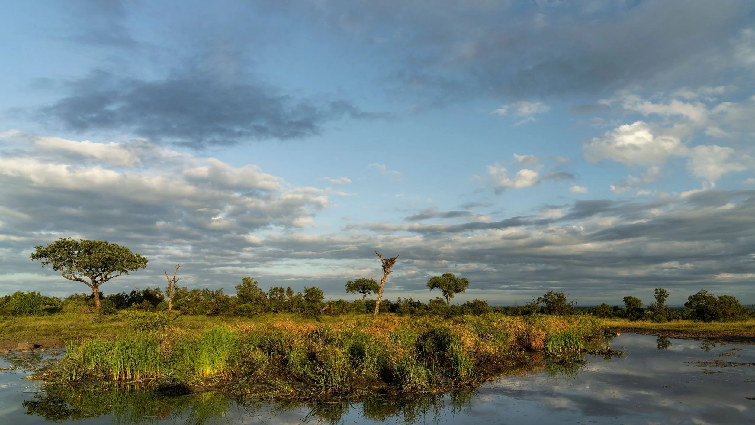 SabiSand_Landscapes_WaterPan_RossCouper_AR507466.jpg