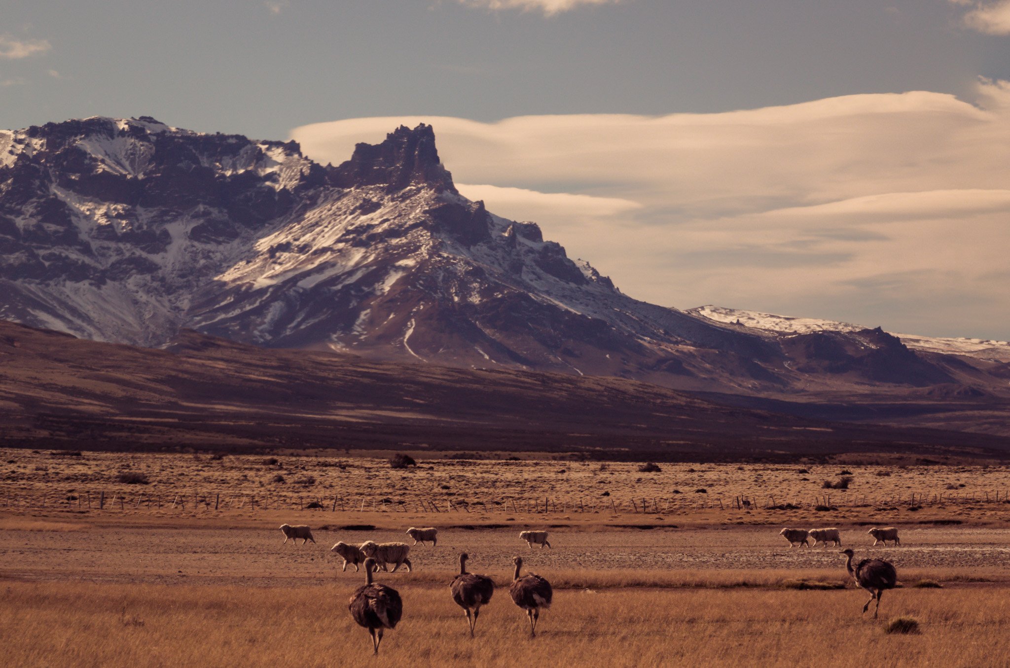 the_long_run_estancia-cerro-guido-23.jpg