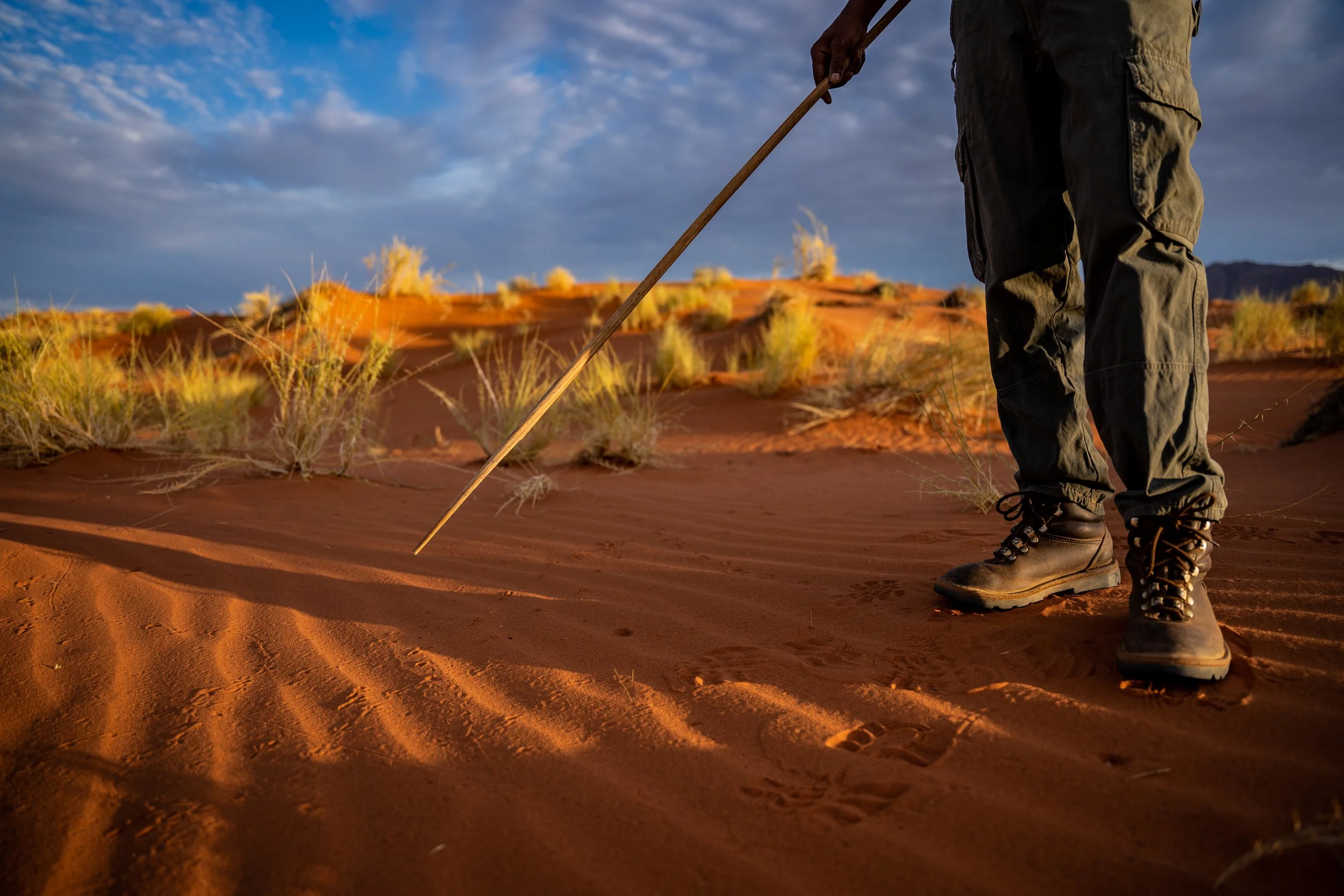 WOLWEDANS COLLECTION - Walking safaris -  Tracking with knowledgable guide.jpg