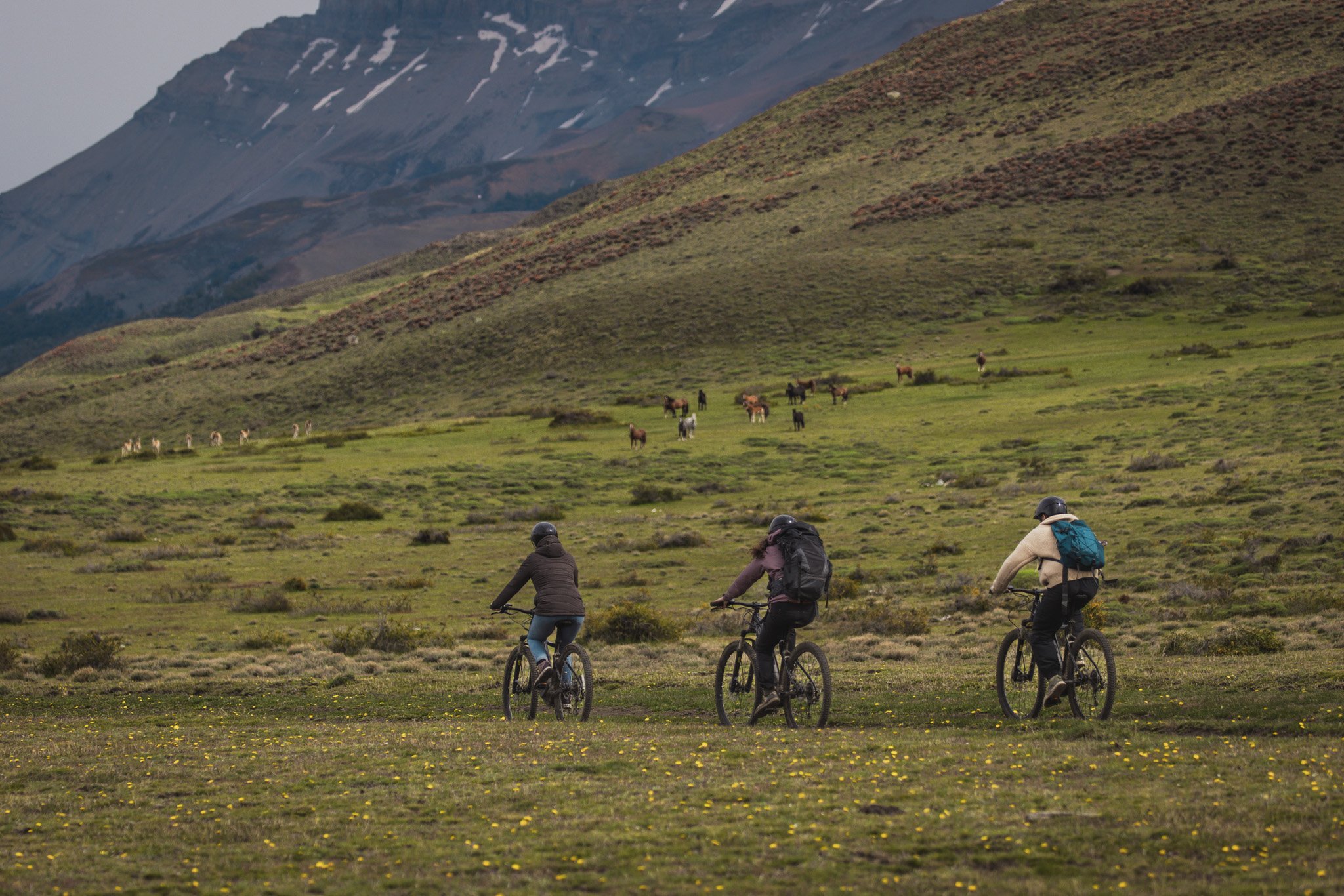 the_long_run_estancia-cerro-guido-10.jpg