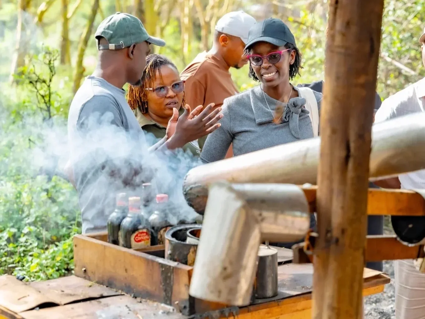 The charcoal wood ash system