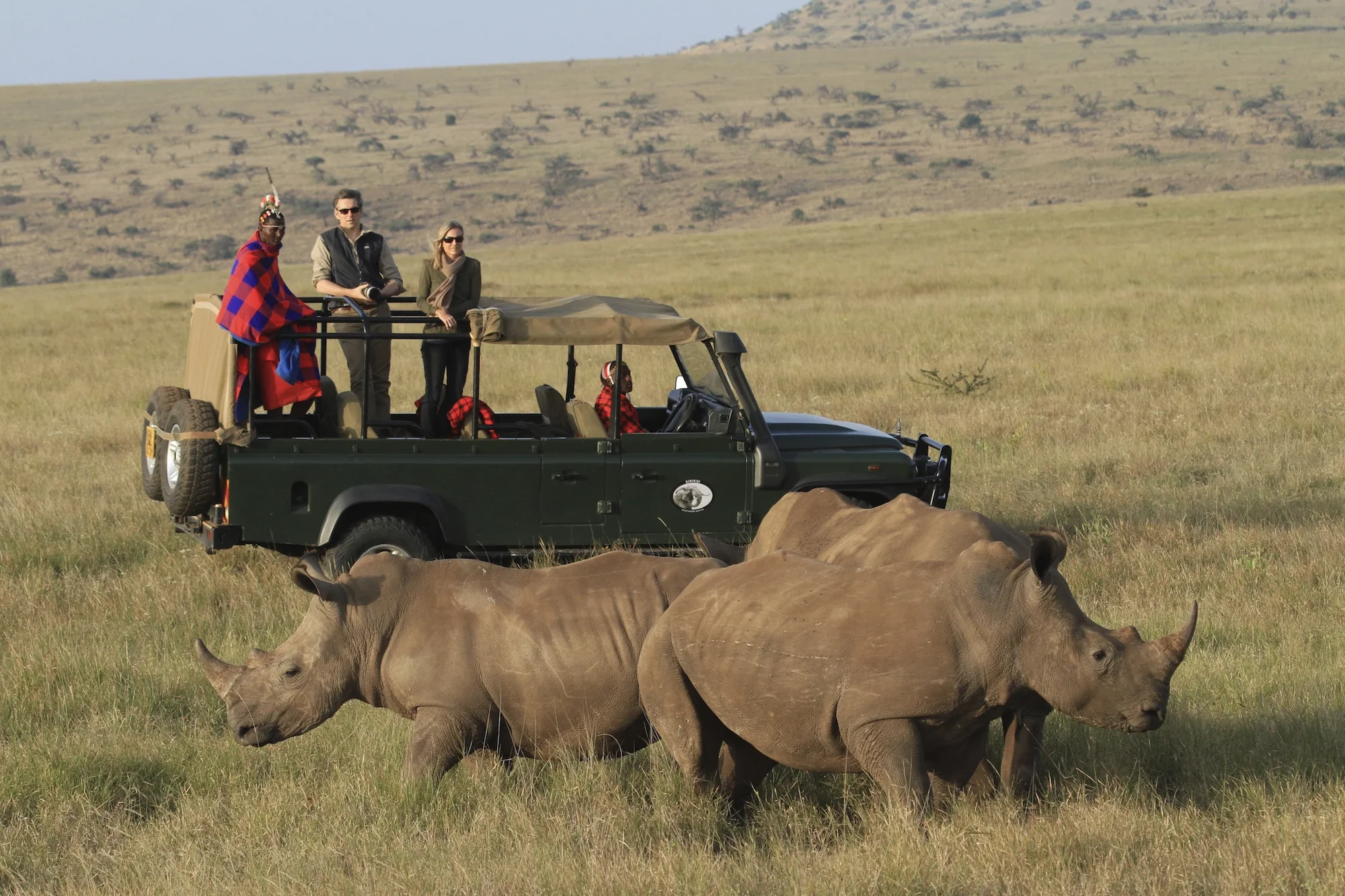 Rhinos spotted in Lewa Wildlife Conservancy