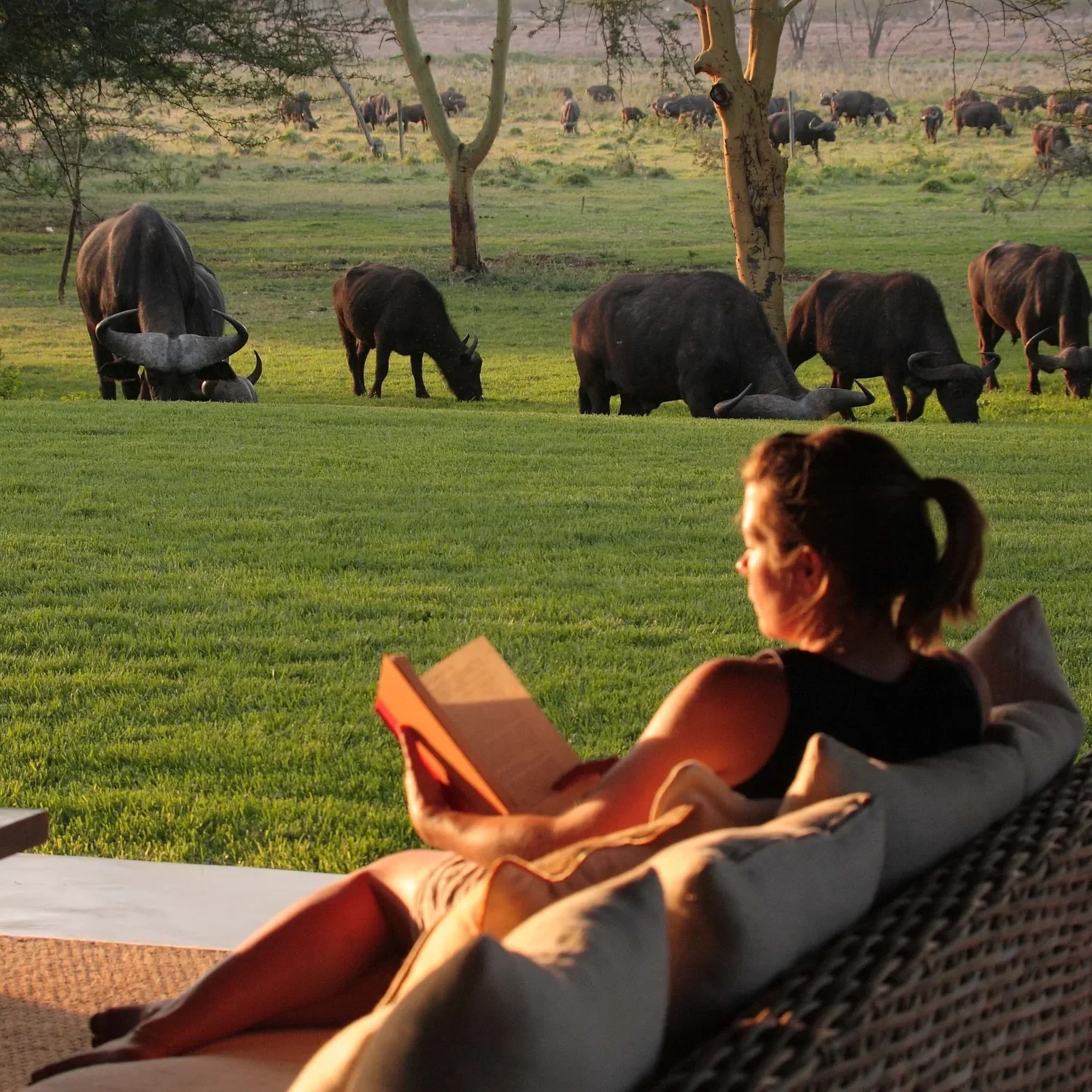 What book had a massive impact on how you work?