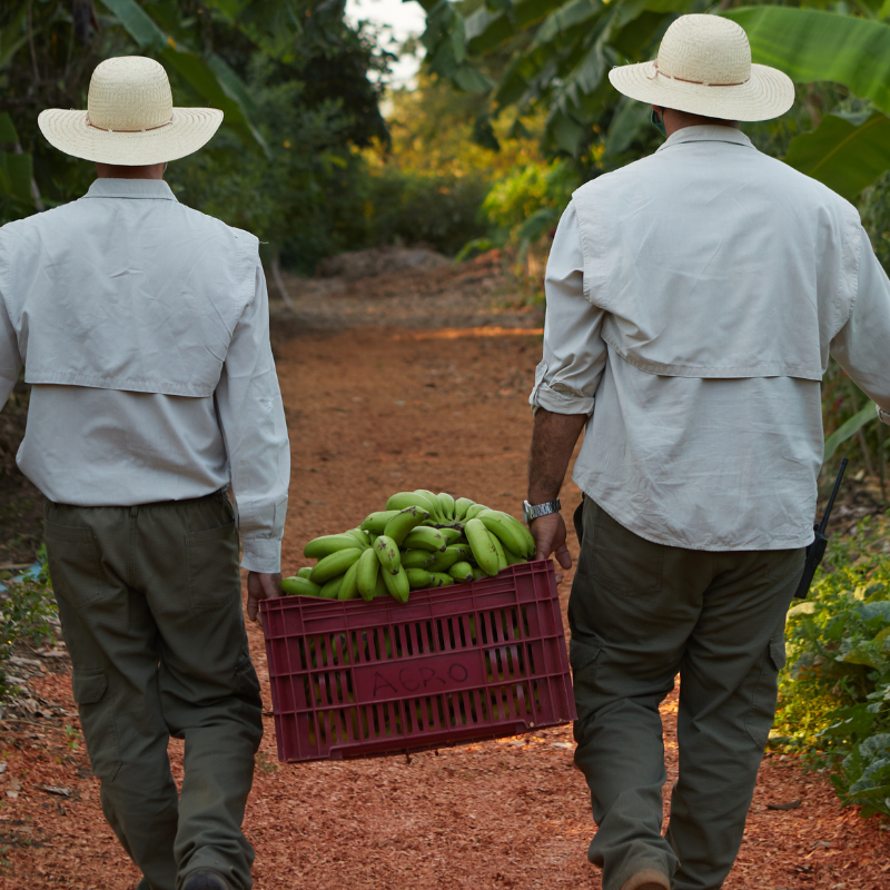 How do you bring your suppliers closer to your 4C vision?