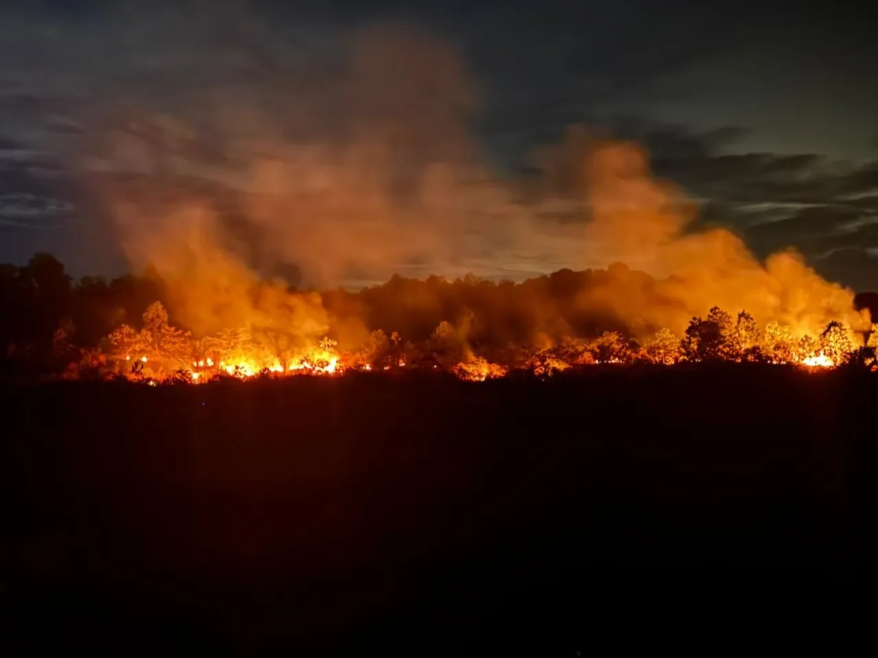 A wildfire next to their farm on Bintan