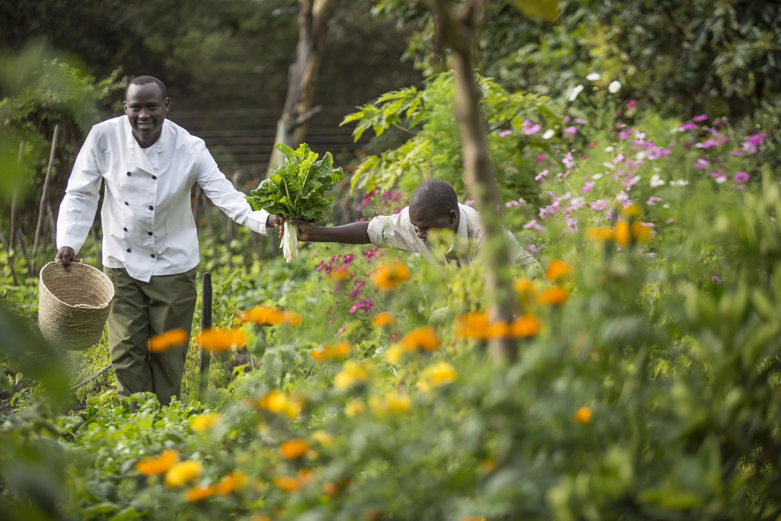 Our chefs in the vegetable garden.jpg