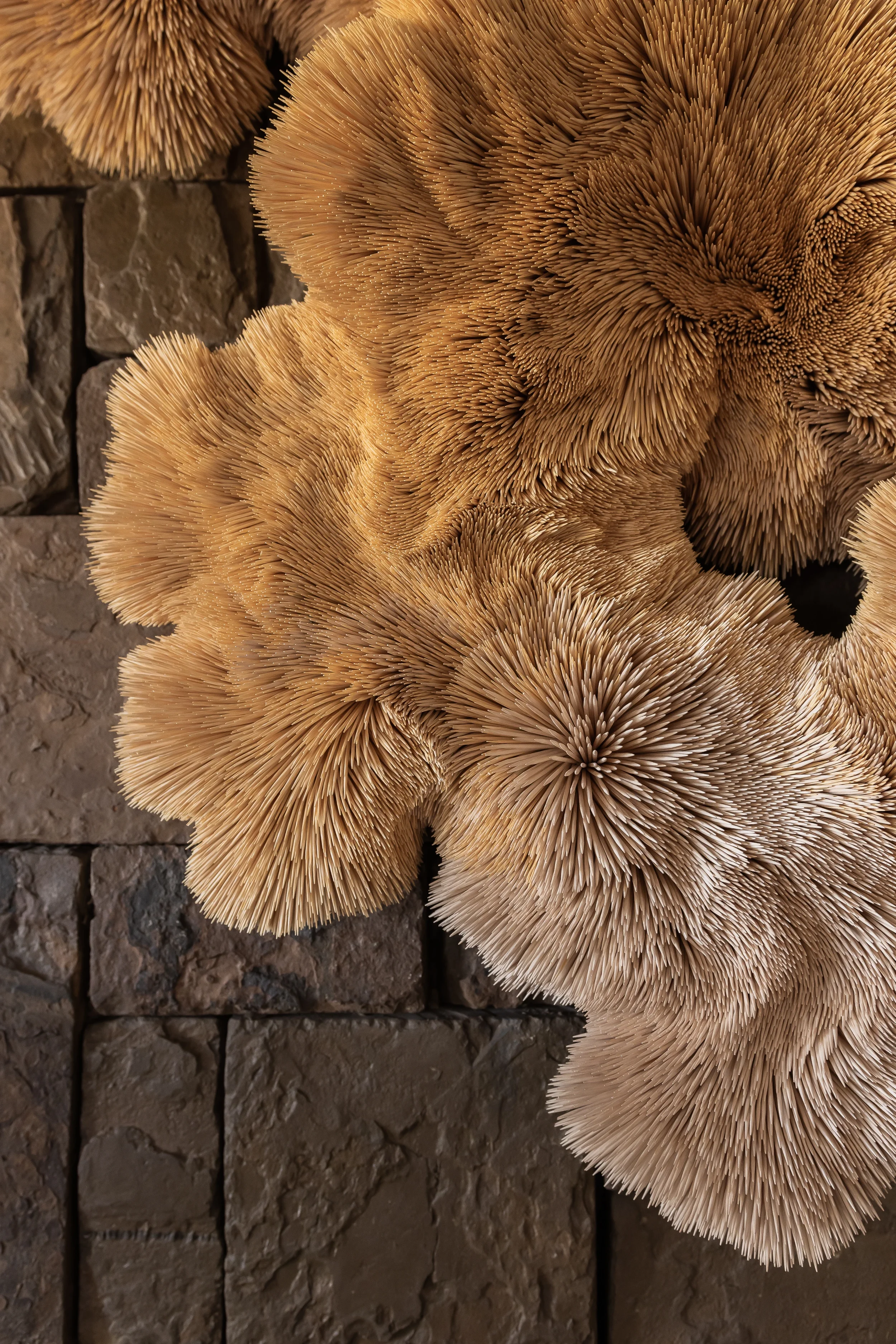 Singita Serengeti House_Chris Soal 1.webp