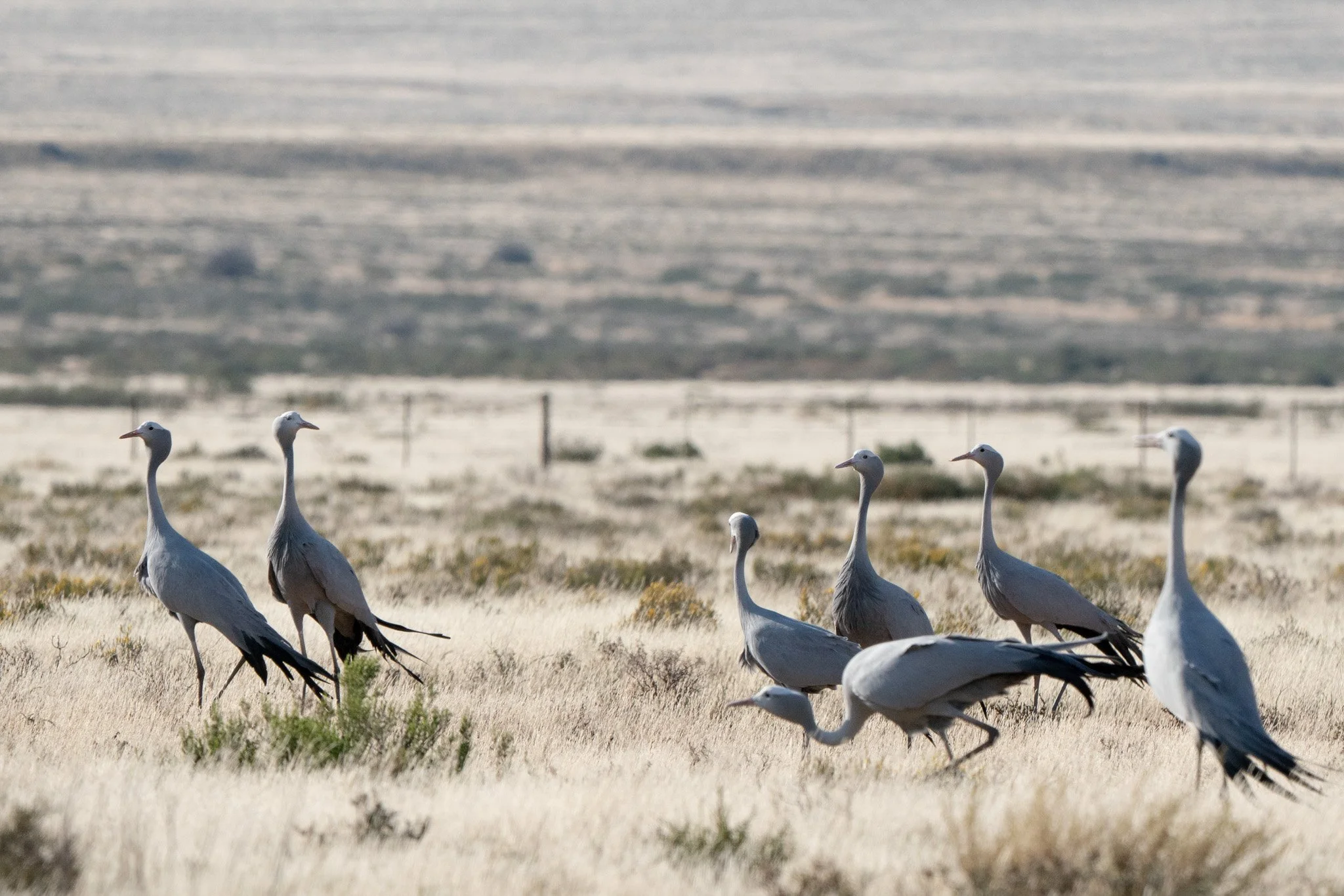 the_long_run_members_bergplaas_nature_reserve-10.jpg