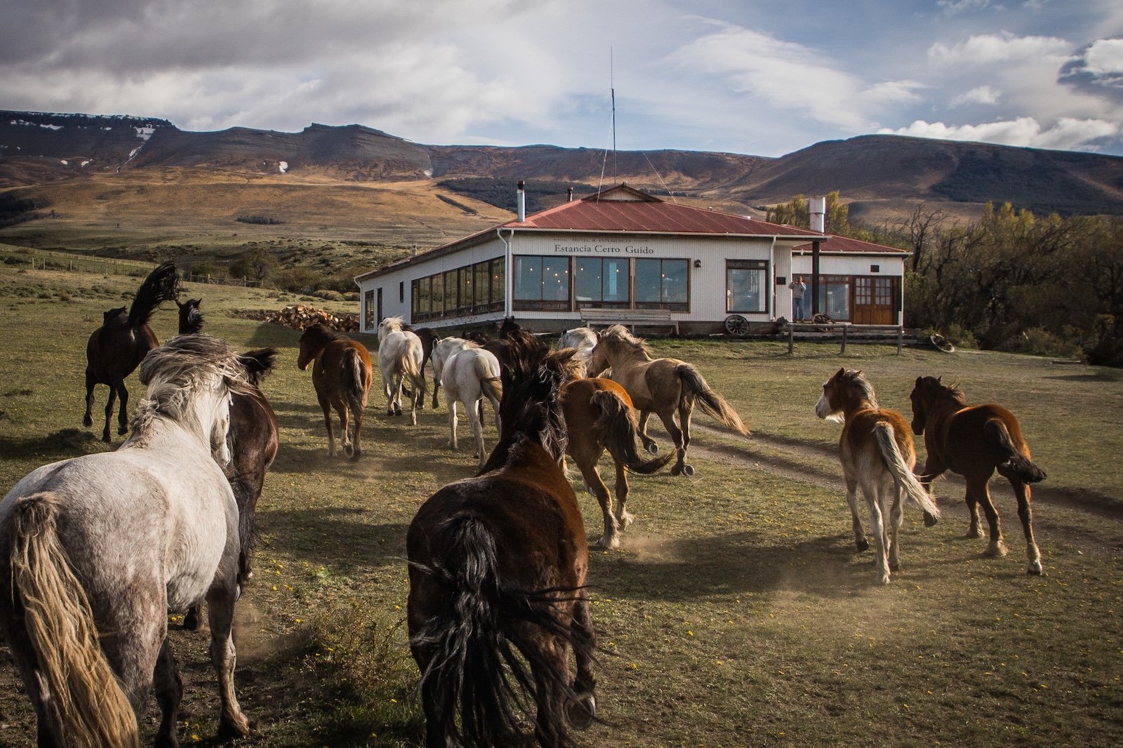 the_long_run_estancia-cerro-guido-19.jpg