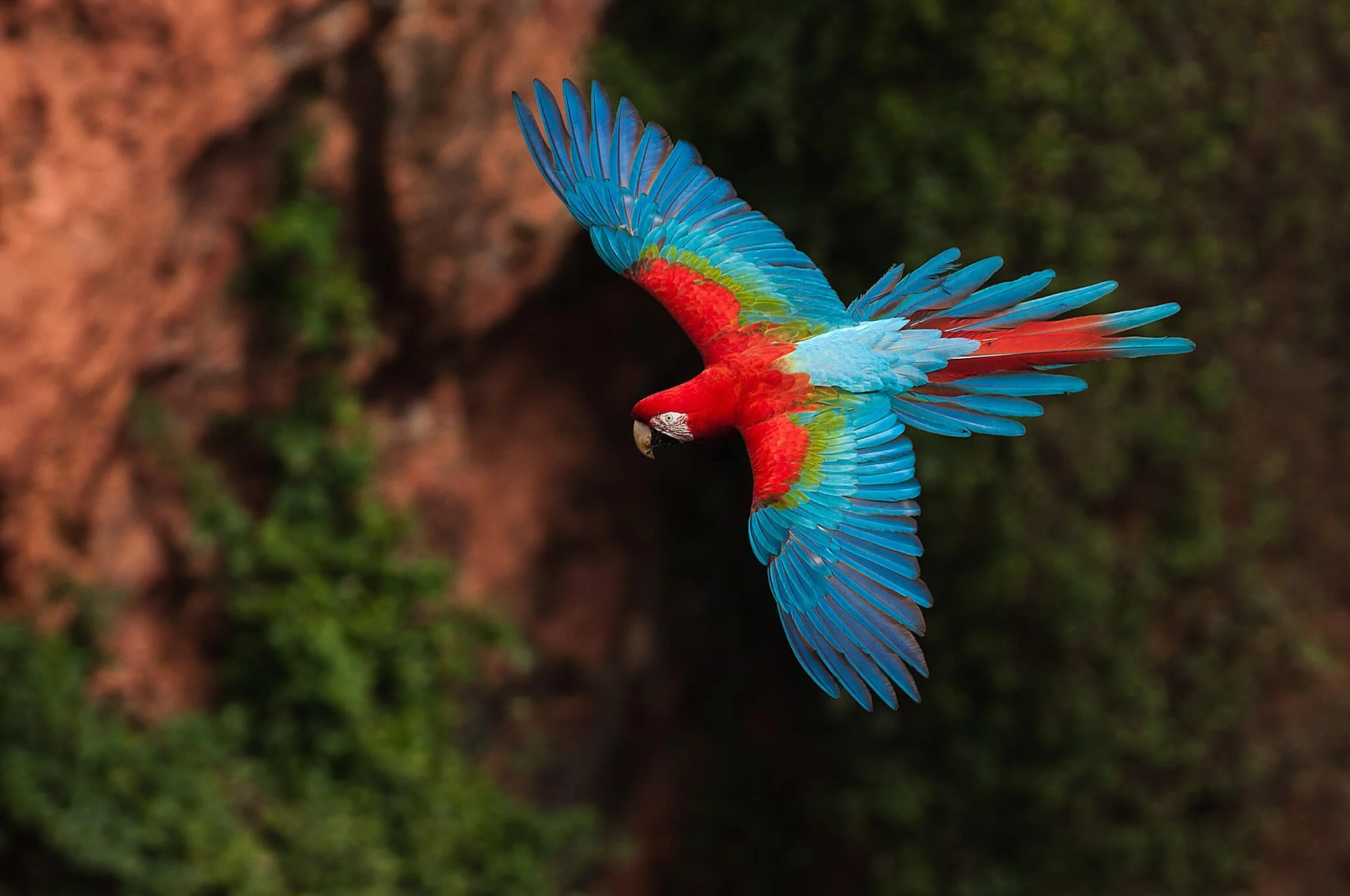 the_long_run_travel_member_Travel Differently Ltd-16.jpg