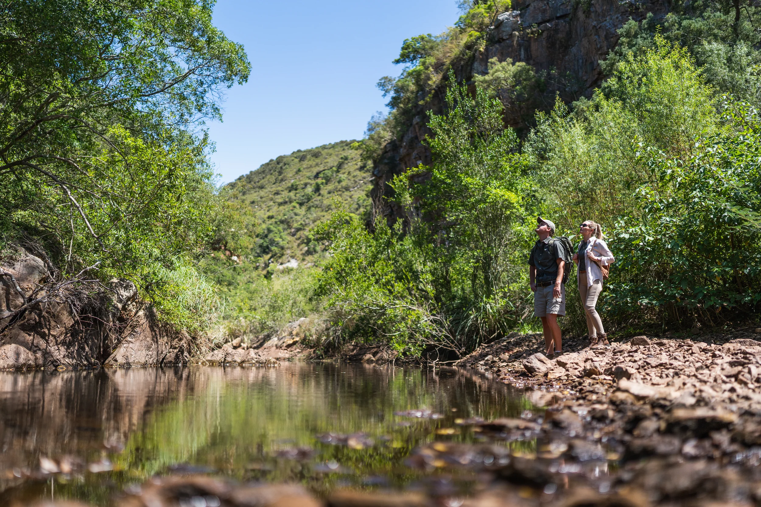 Hiddn nature walks.webp