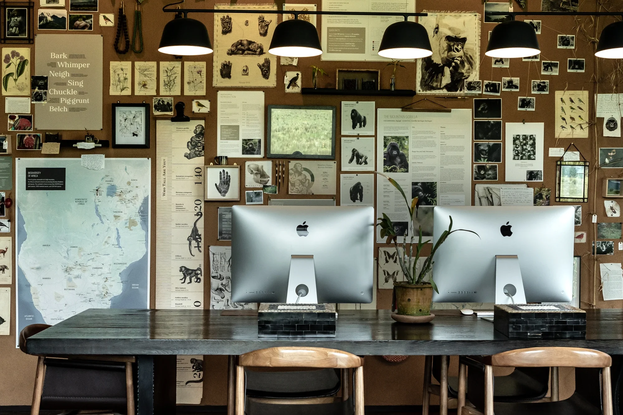 Singita Volcanoes National Park_Conservation Room.webp