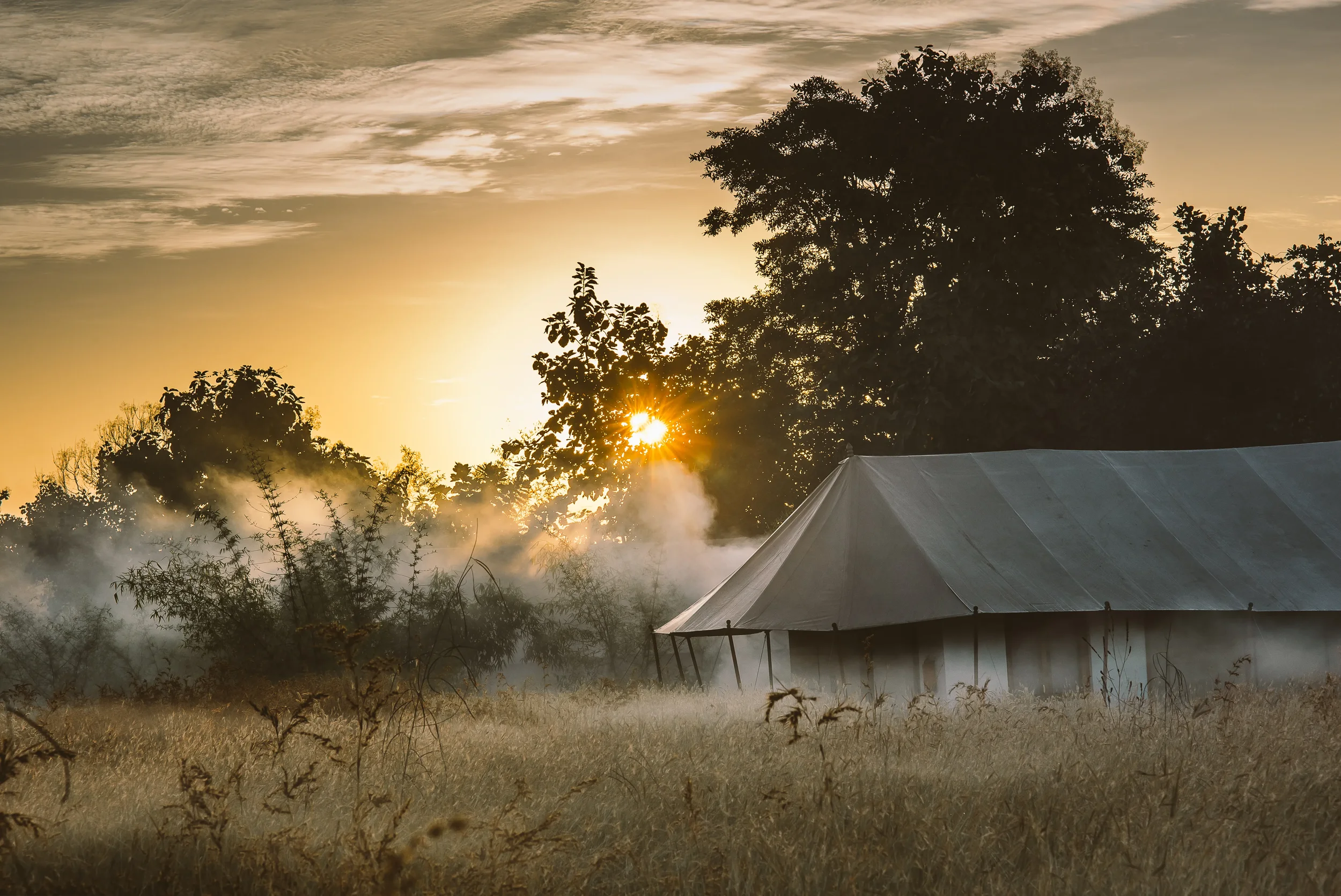 Tent--4.webp