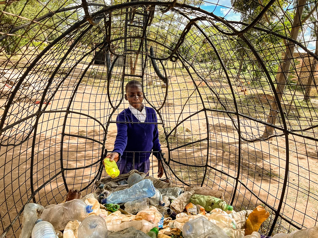 nomad lamai serengeti environmental school project.webp