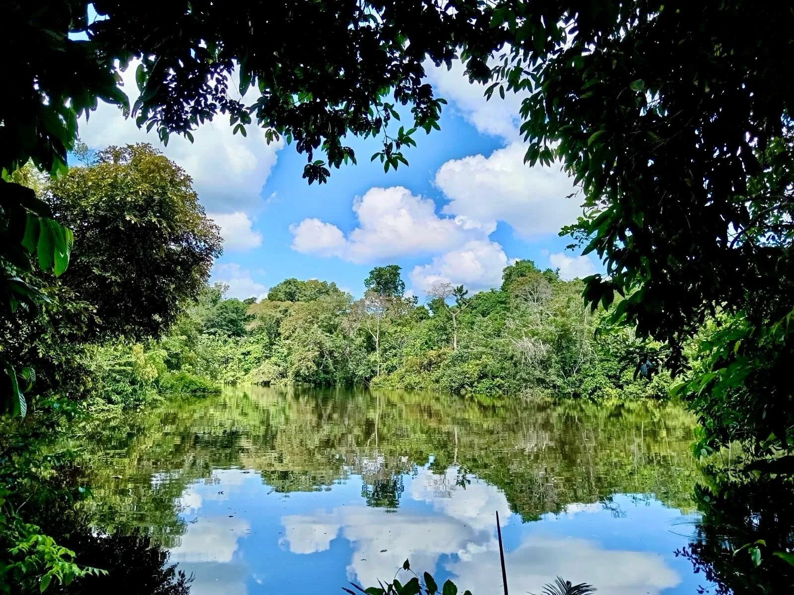 9c46c136-8475-4ba6-80ad-aab029ecbf07 (1).JPG